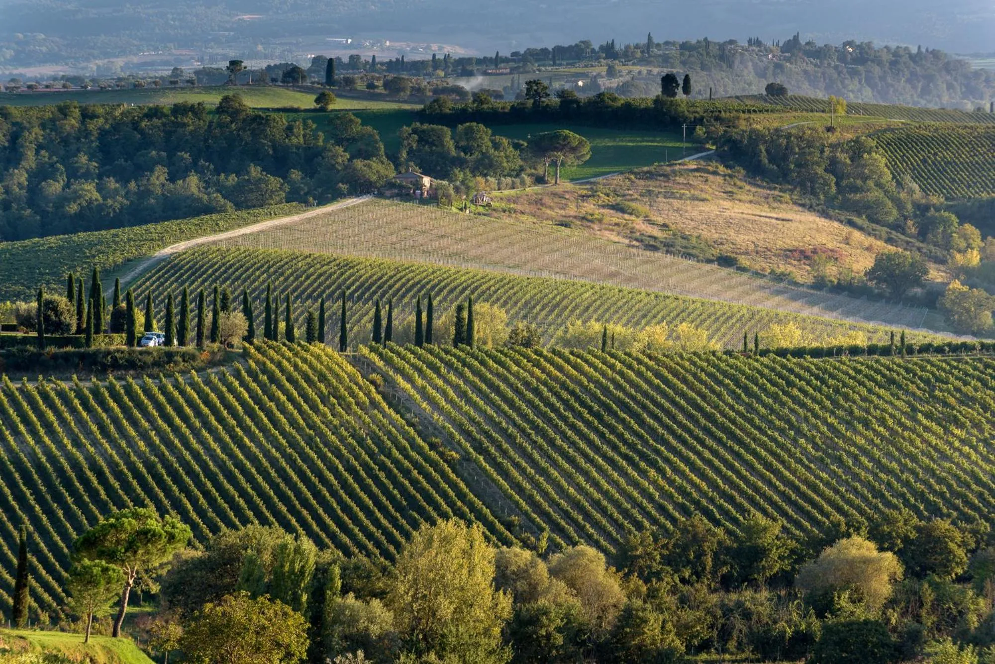 View (from property/room) in La Casa Delle Querce