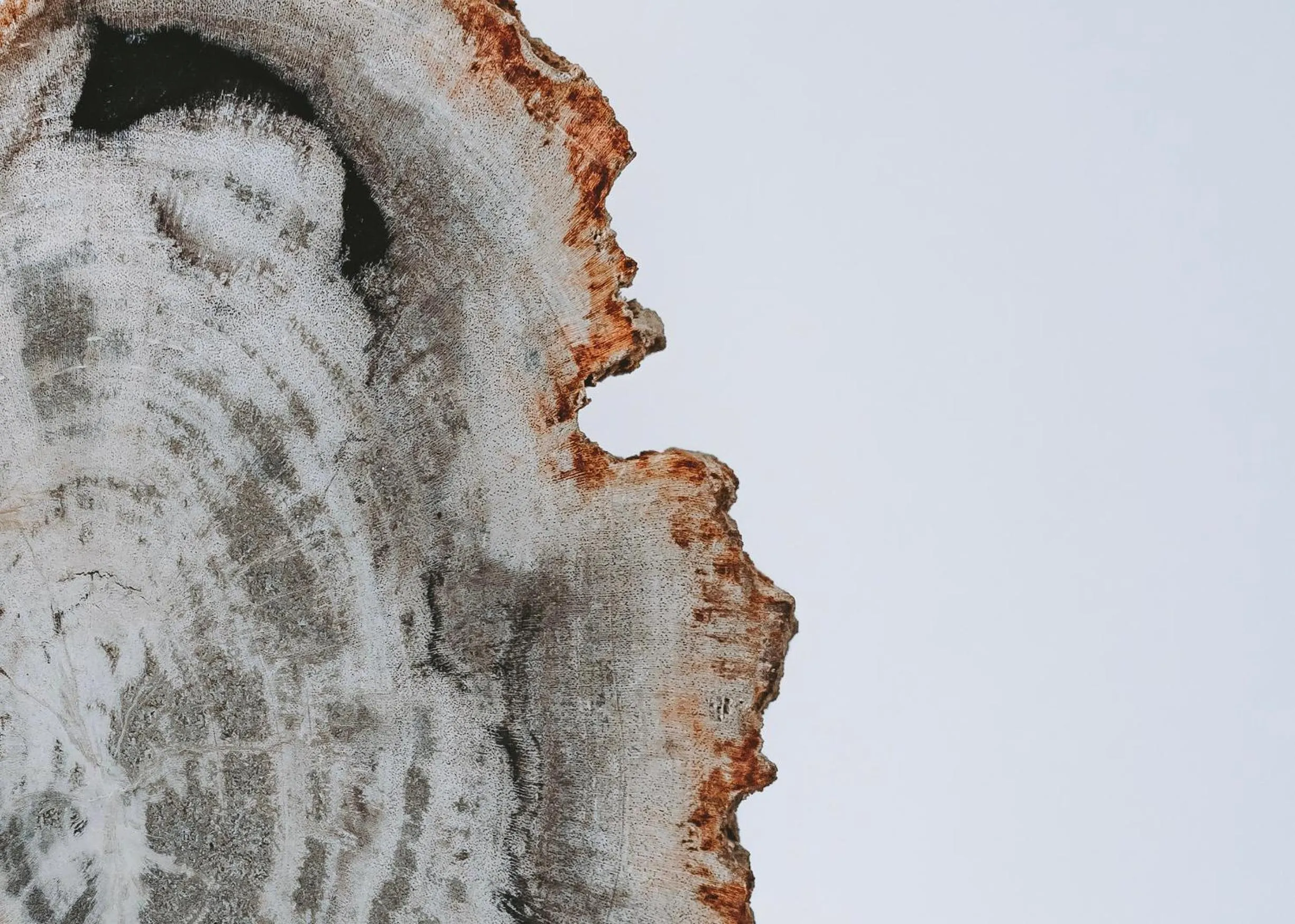 Bedroom in Legends Beachfront Resort