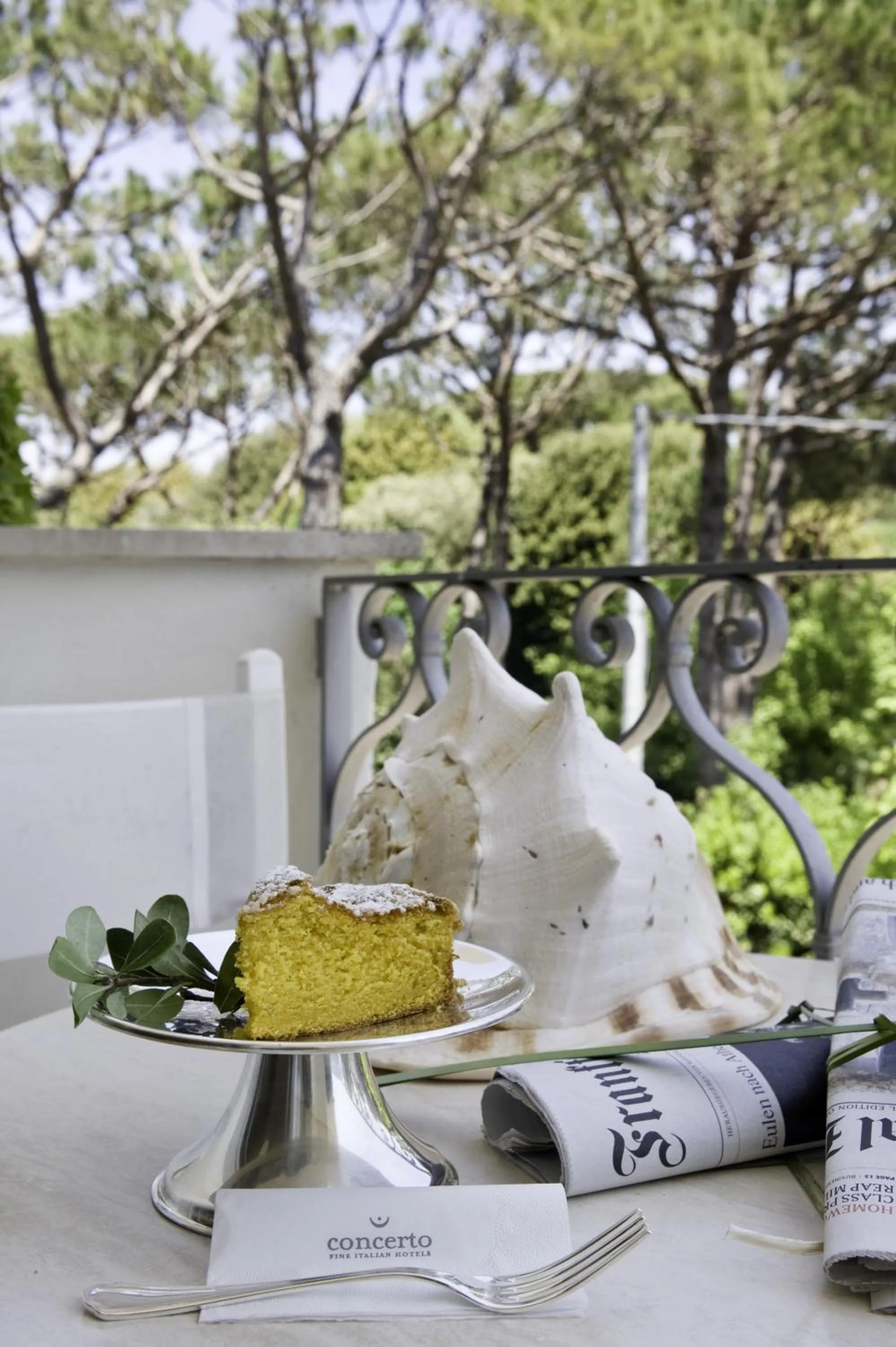 Garden view in Hotel Il Negresco