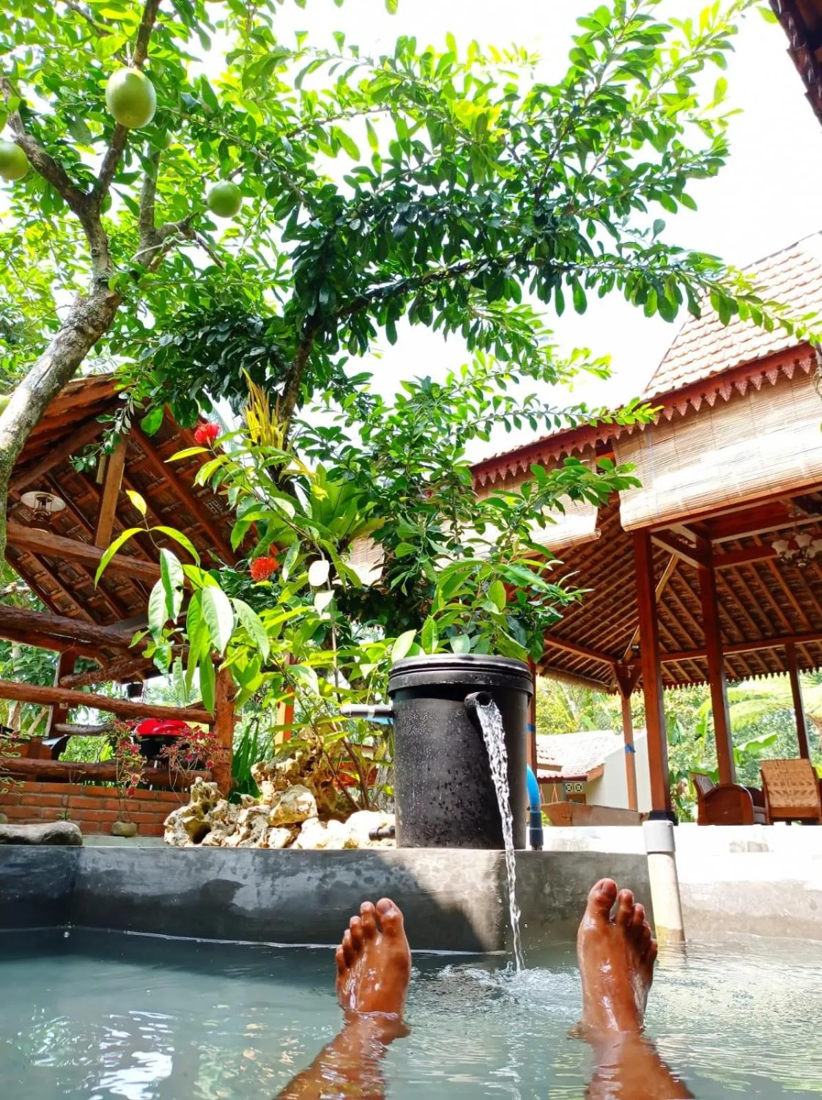 Garden view in Angler Homestay & Joglo