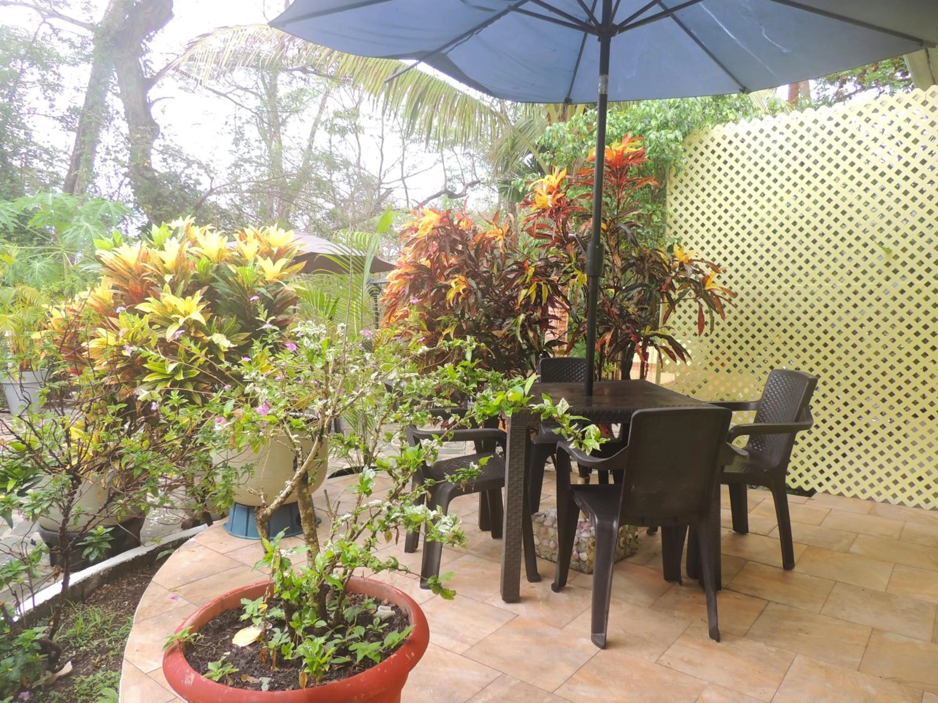 Casa del Sol Bed and Breakfast