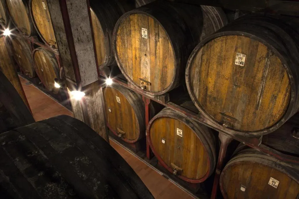 Activities in Villaggio Narrante - Foresteria delle Vigne