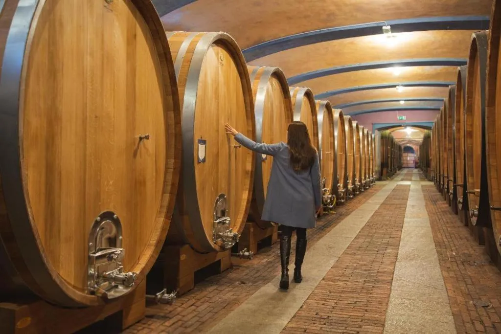 Activities in Villaggio Narrante - Foresteria delle Vigne