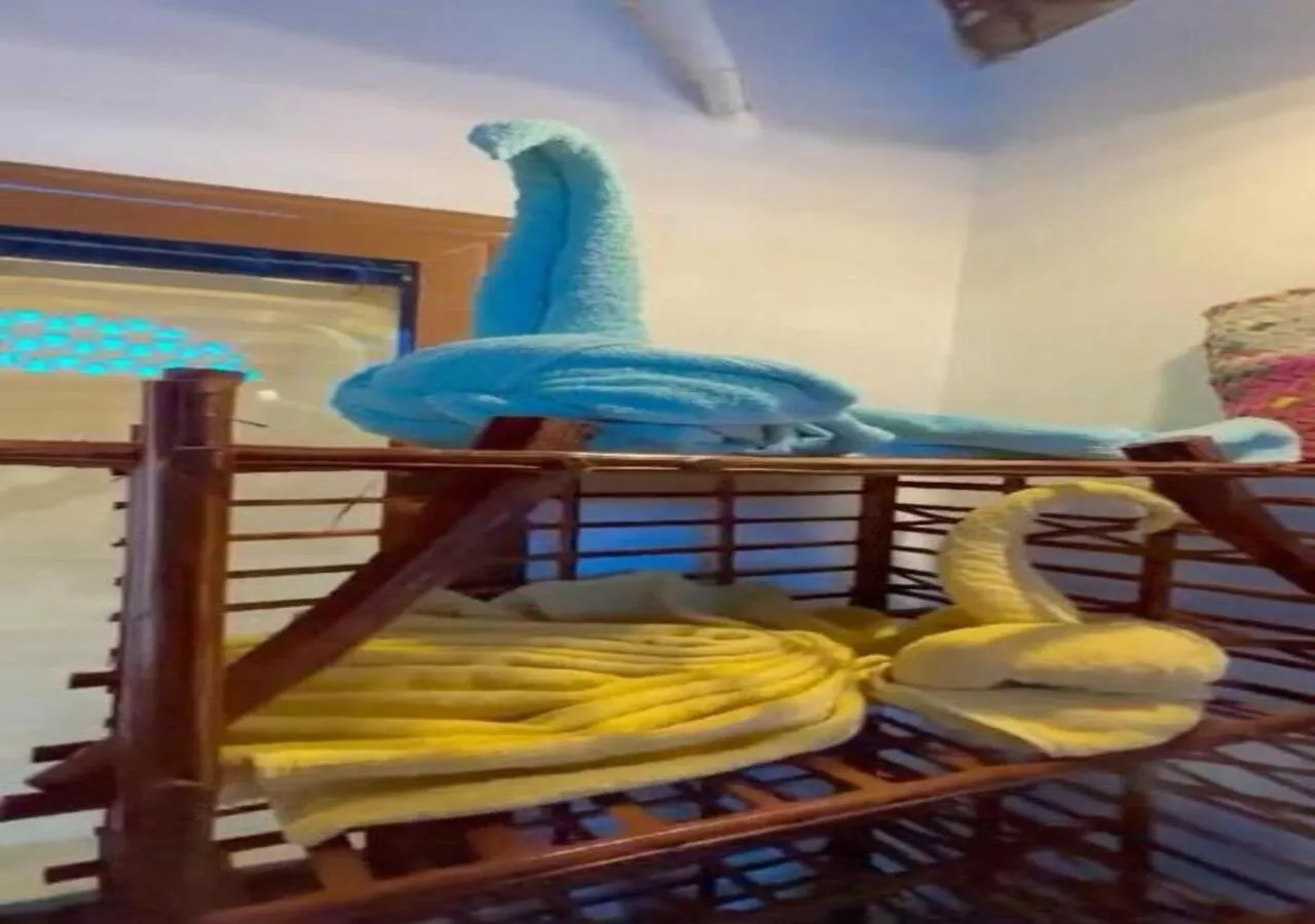 Decorative detail in Fenti Nubian Resort