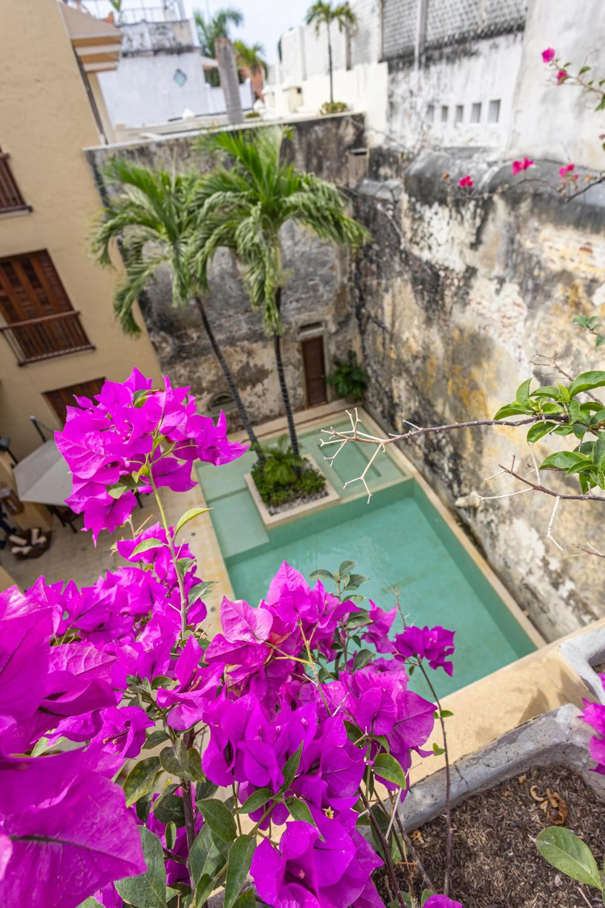 Garden view in Ananda Hotel Boutique