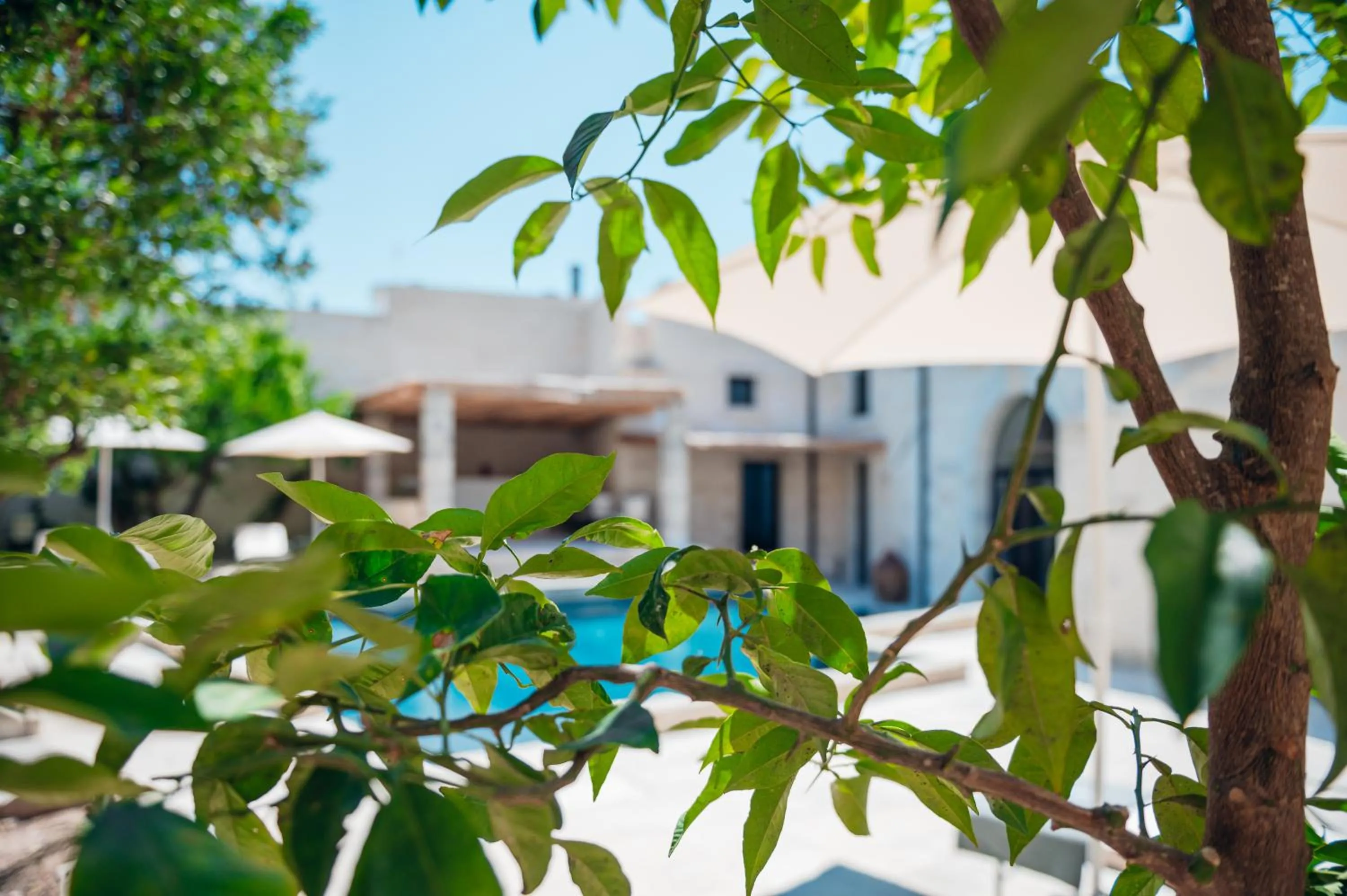 Tenuta Tresca Suites - Dimora Storica