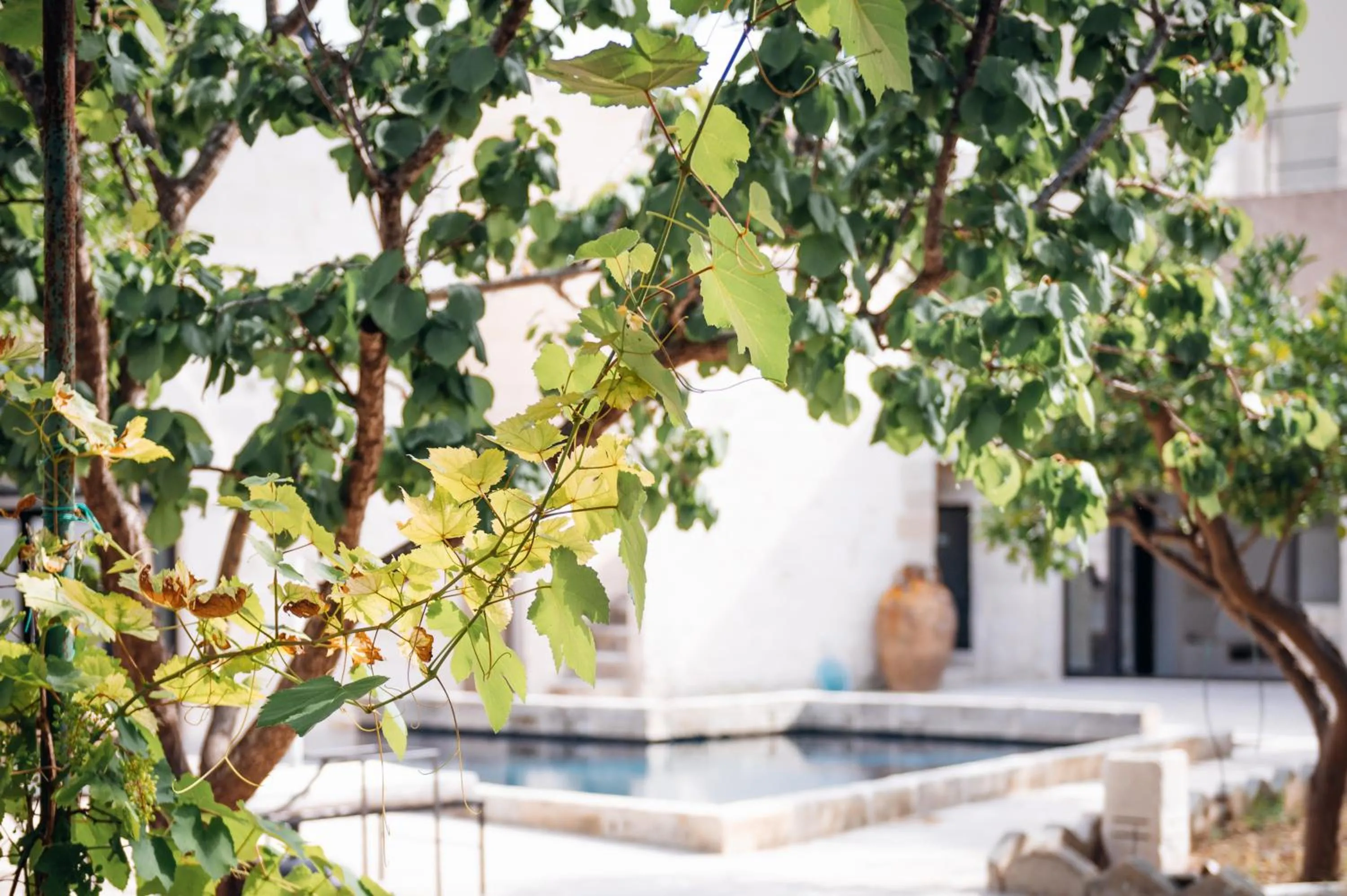 Garden in Tenuta Tresca Suites - Dimora Storica