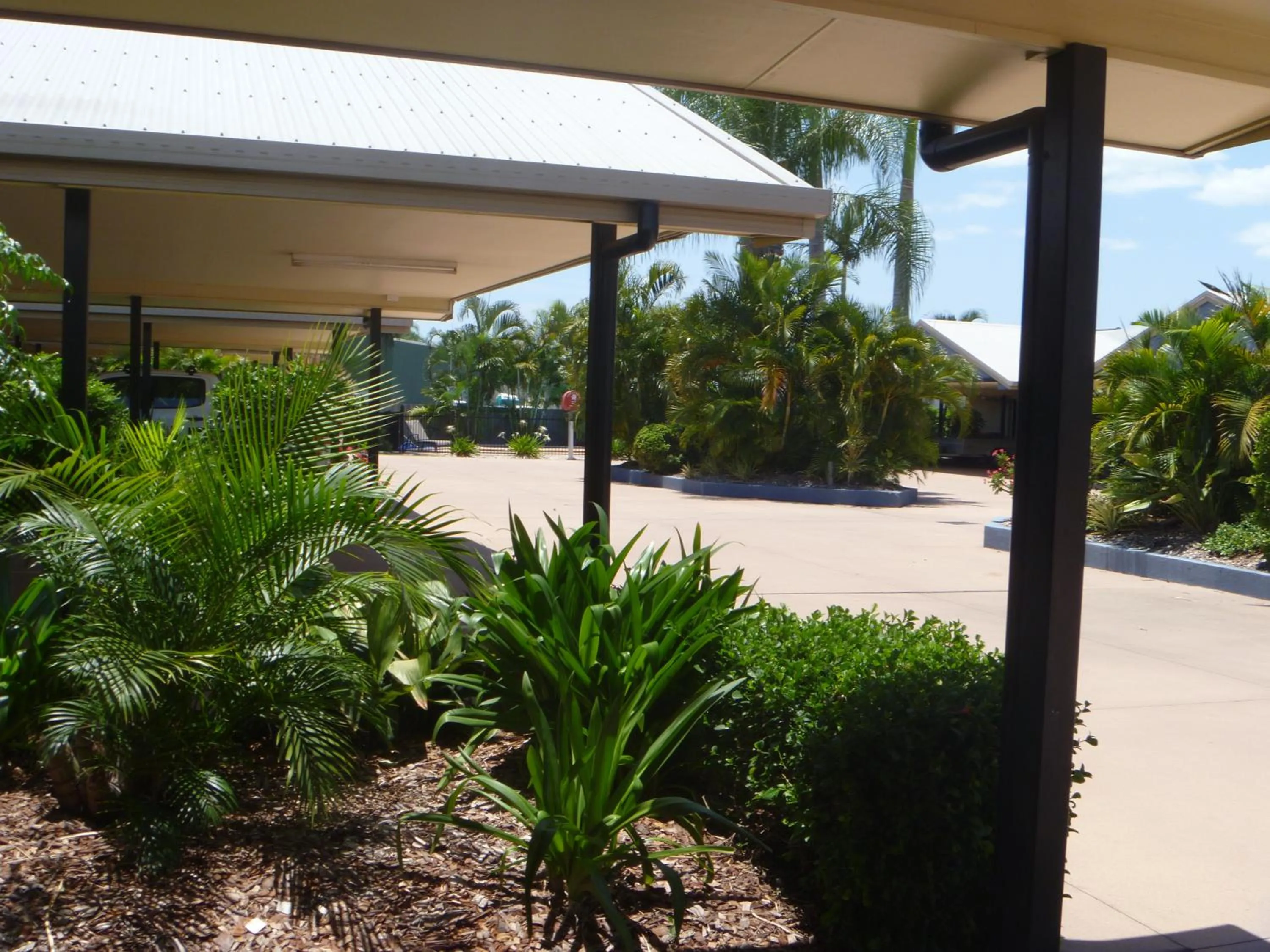Garden in Biloela Palms Motor Inn