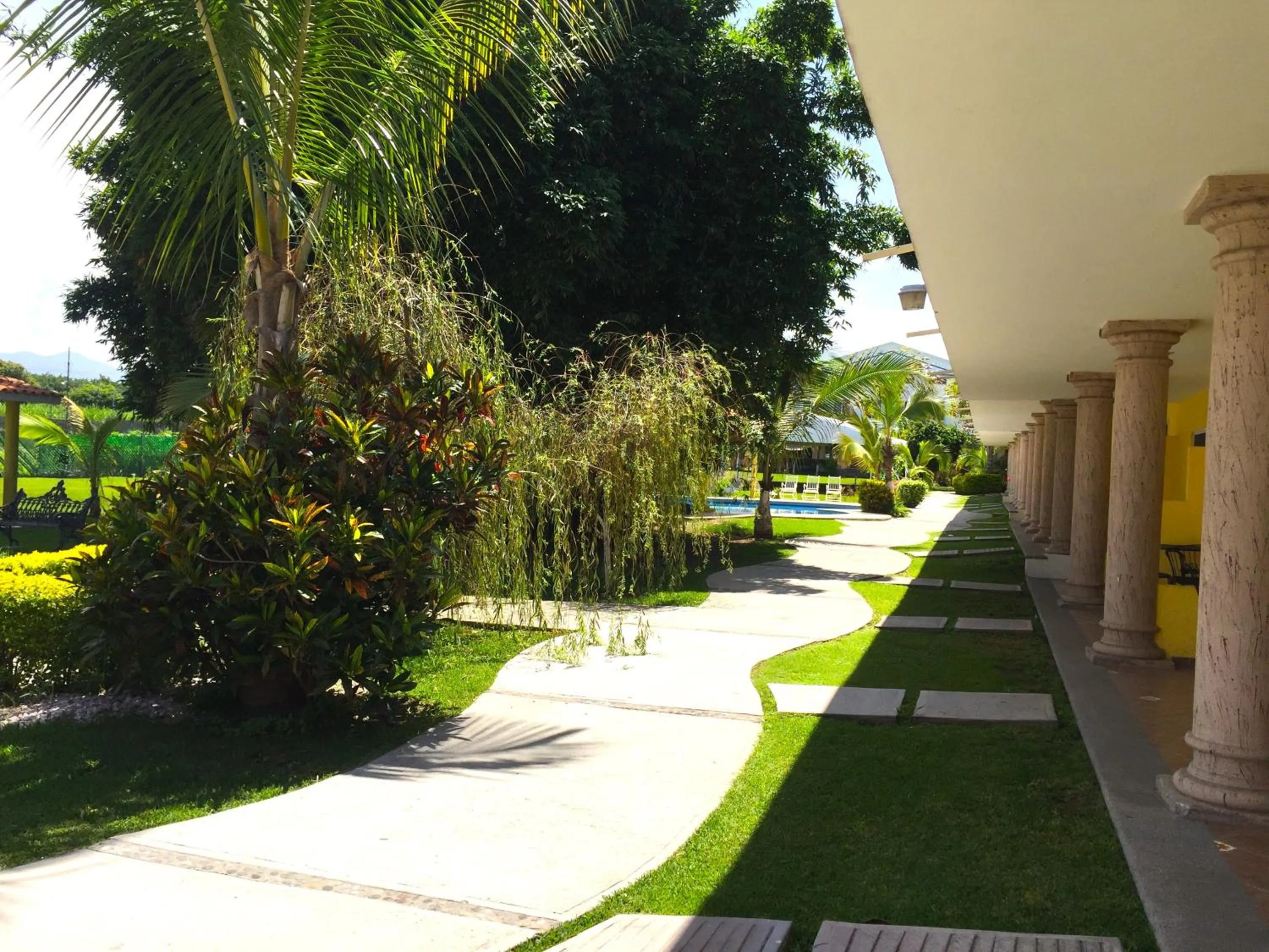 Garden view in Hotel JS