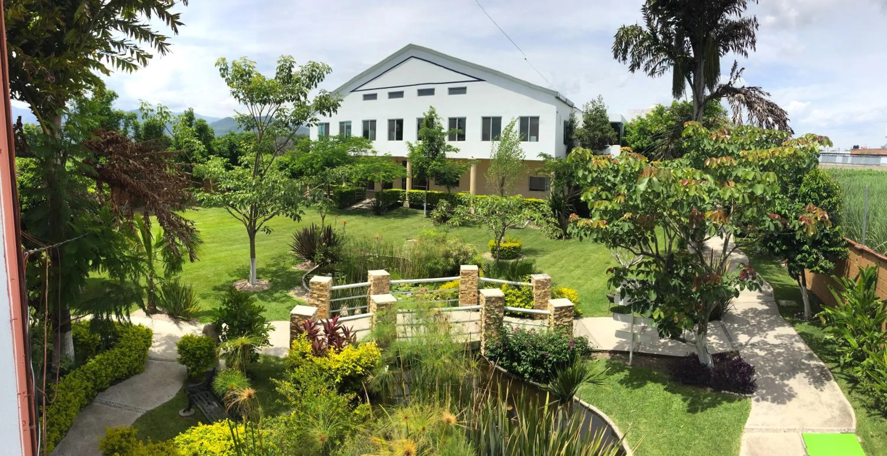 Garden in Hotel JS