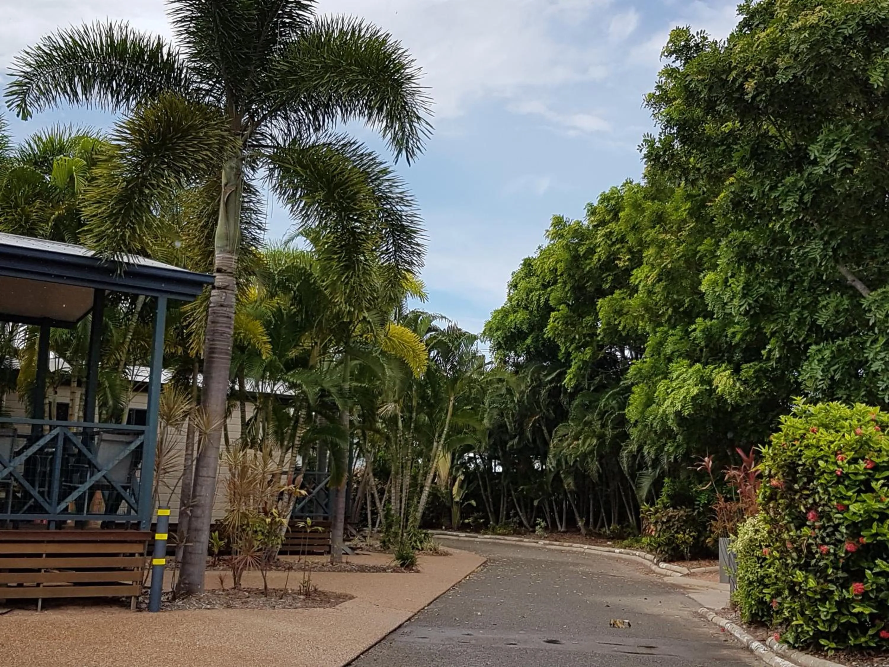 Garden in Coral Coast Tourist Park