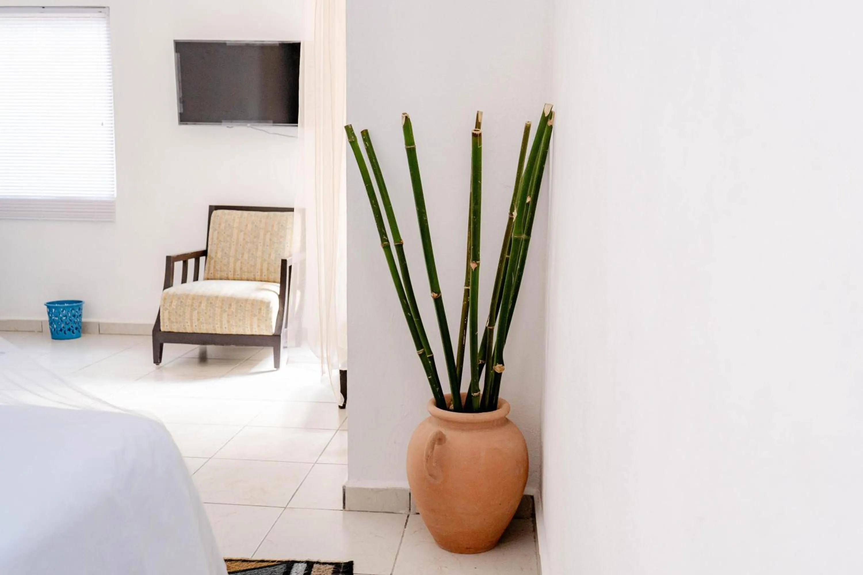 Photo of the whole room, Bed in Buenosdías Izamal