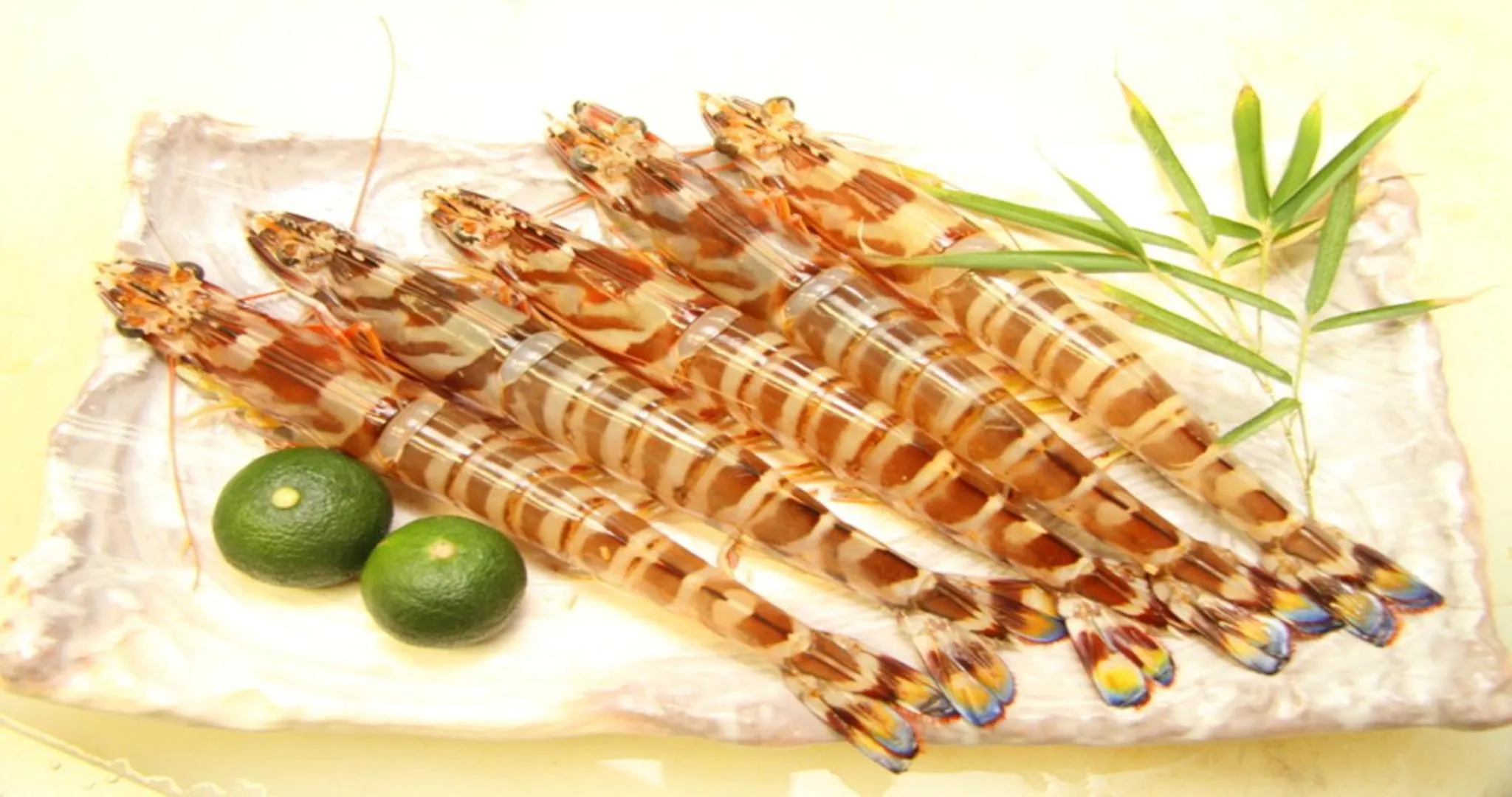 Dinner in Komatsuya Nagisakan