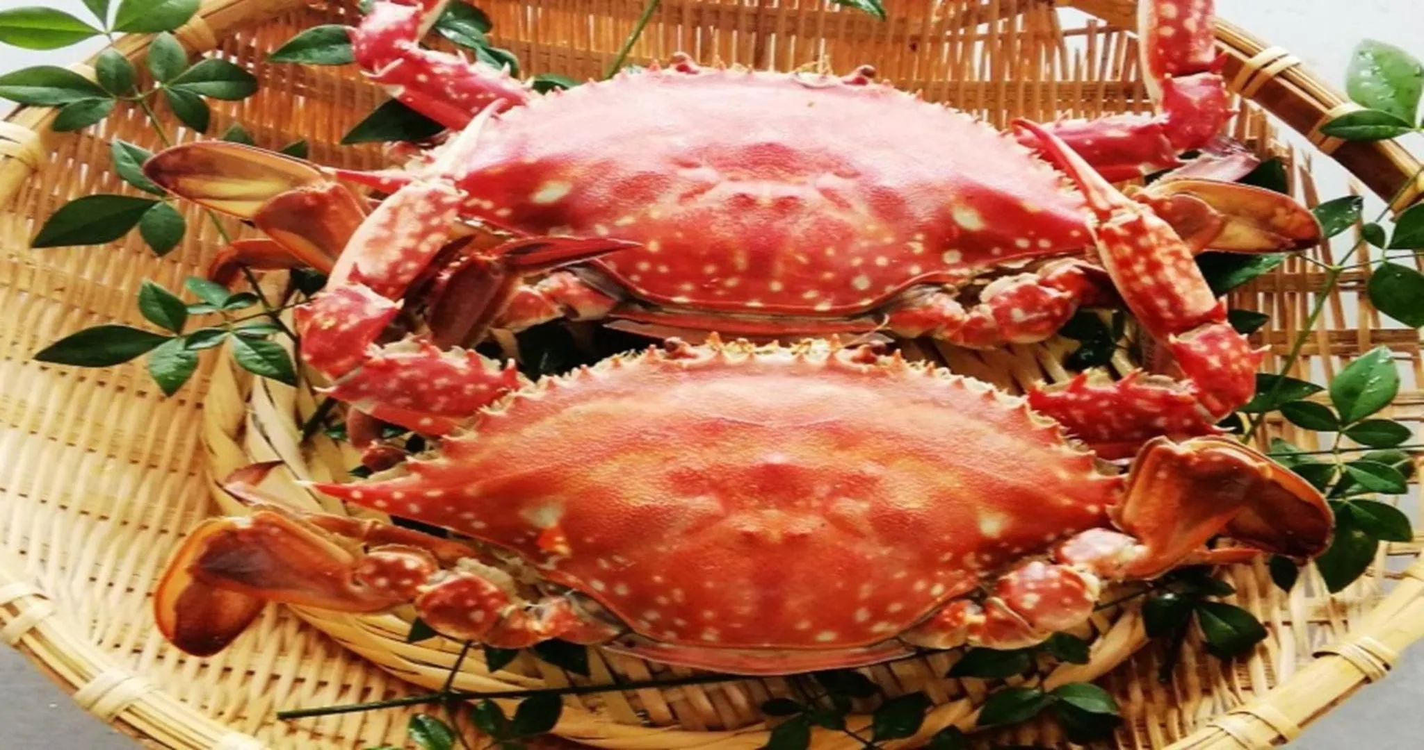 Dinner in Komatsuya Nagisakan