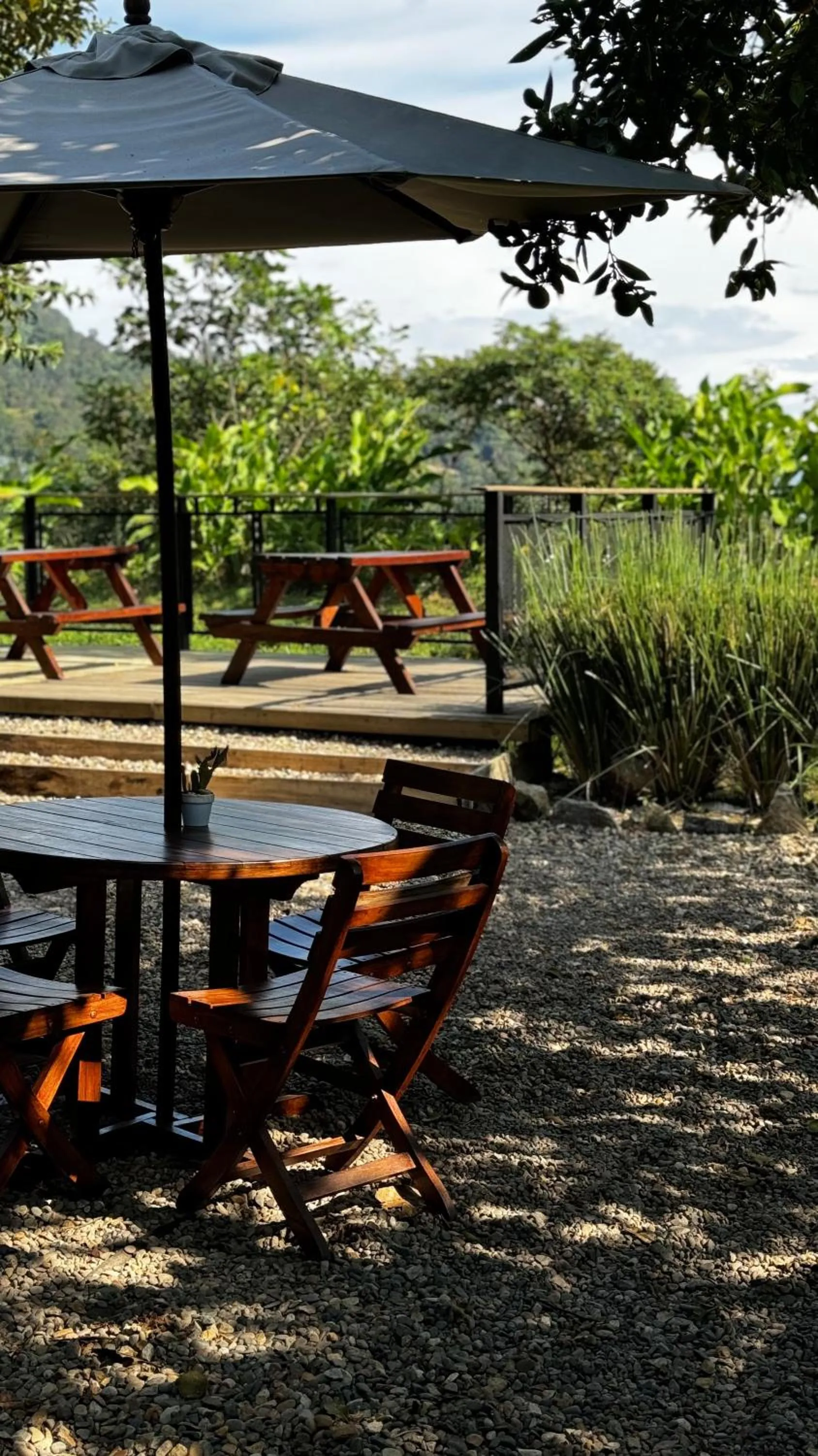 Restaurant/places to eat in Hotel La Palma y El Tucán - Café y Naturaleza