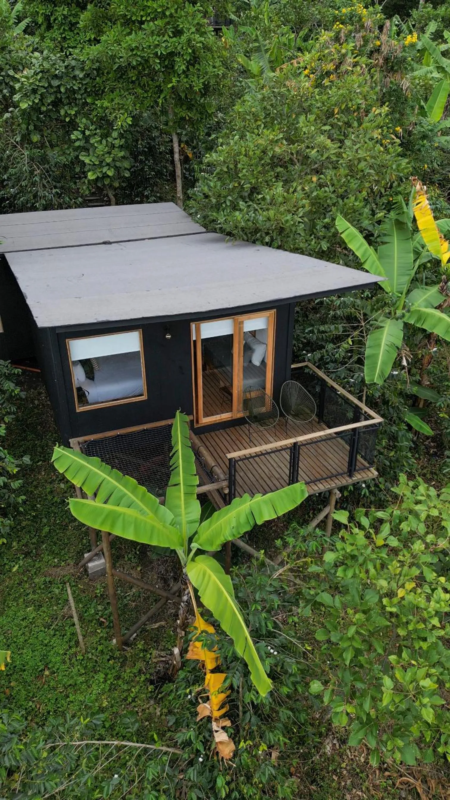 Bird's eye view in Hotel La Palma y El Tucán - Café y Naturaleza