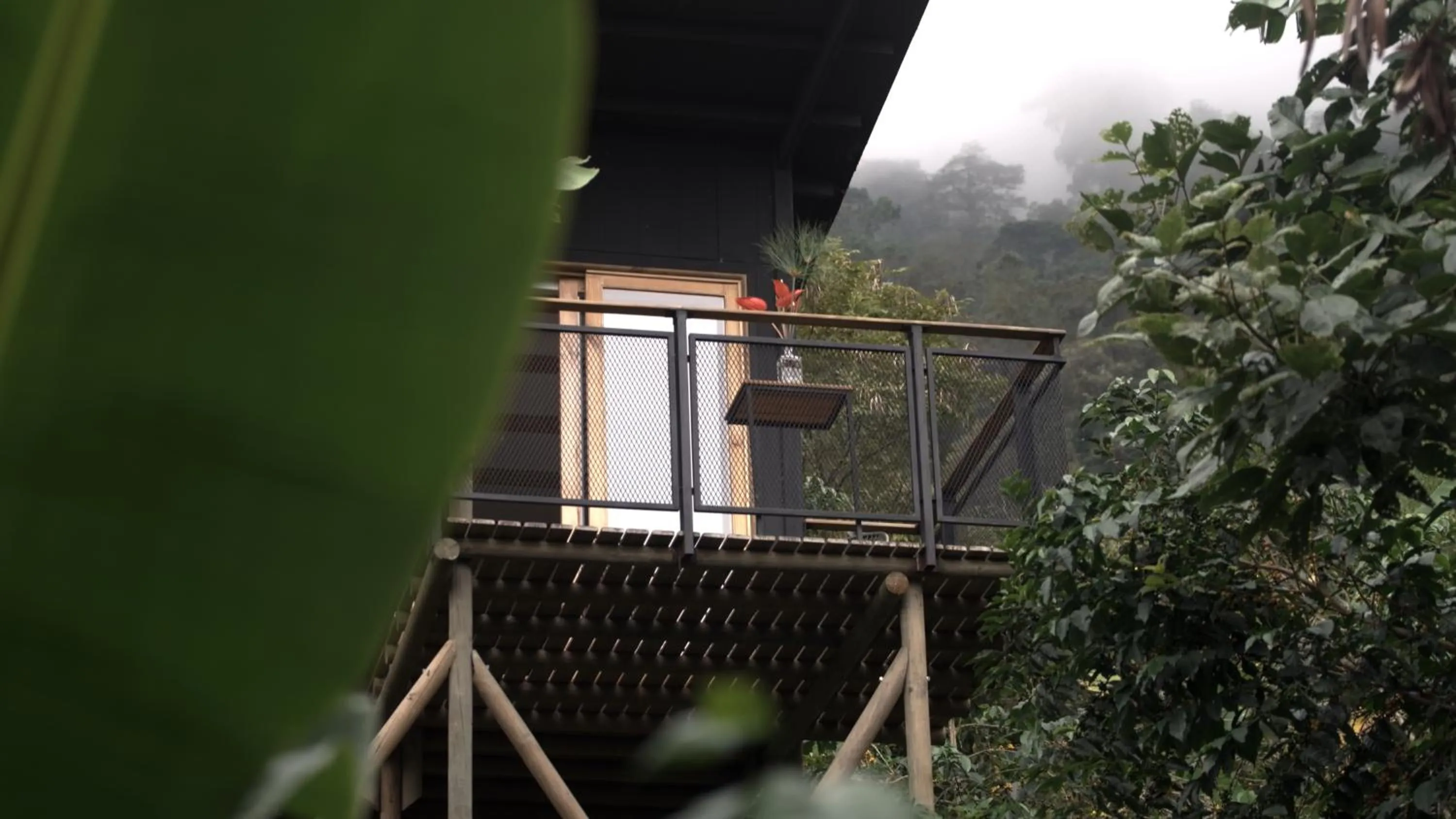 Balcony/Terrace in Hotel La Palma y El Tucán - Café y Naturaleza