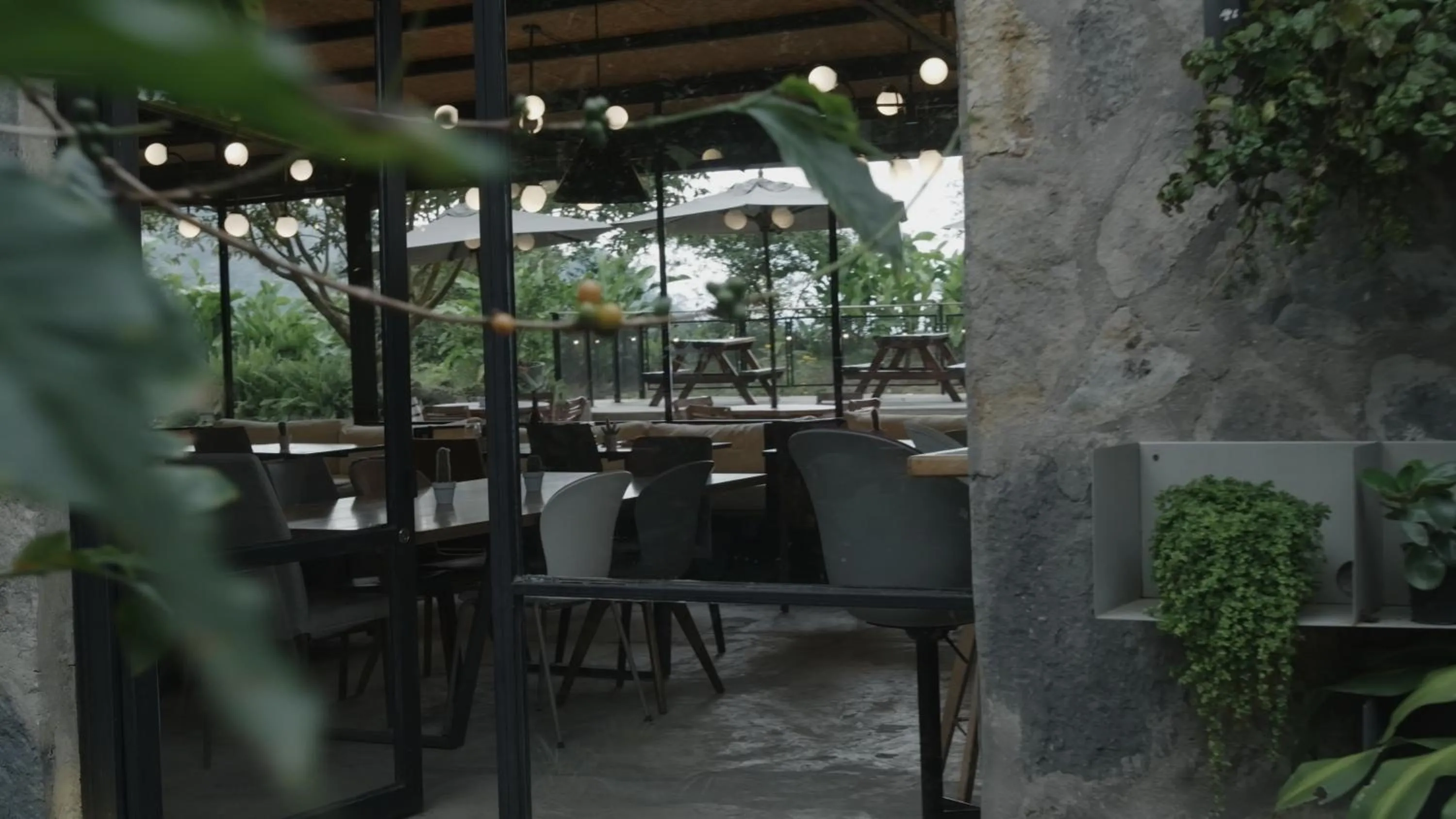 Restaurant/places to eat in Hotel La Palma y El Tucán - Café y Naturaleza