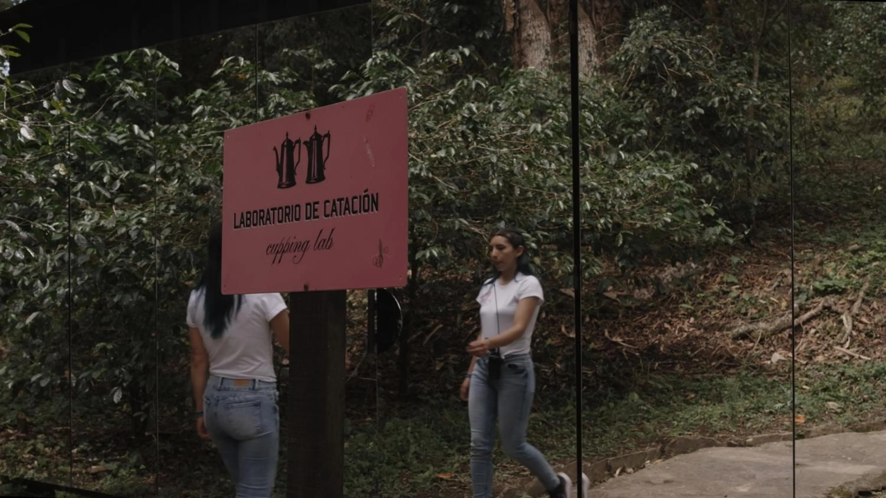 Activities in Hotel La Palma y El Tucán - Café y Naturaleza