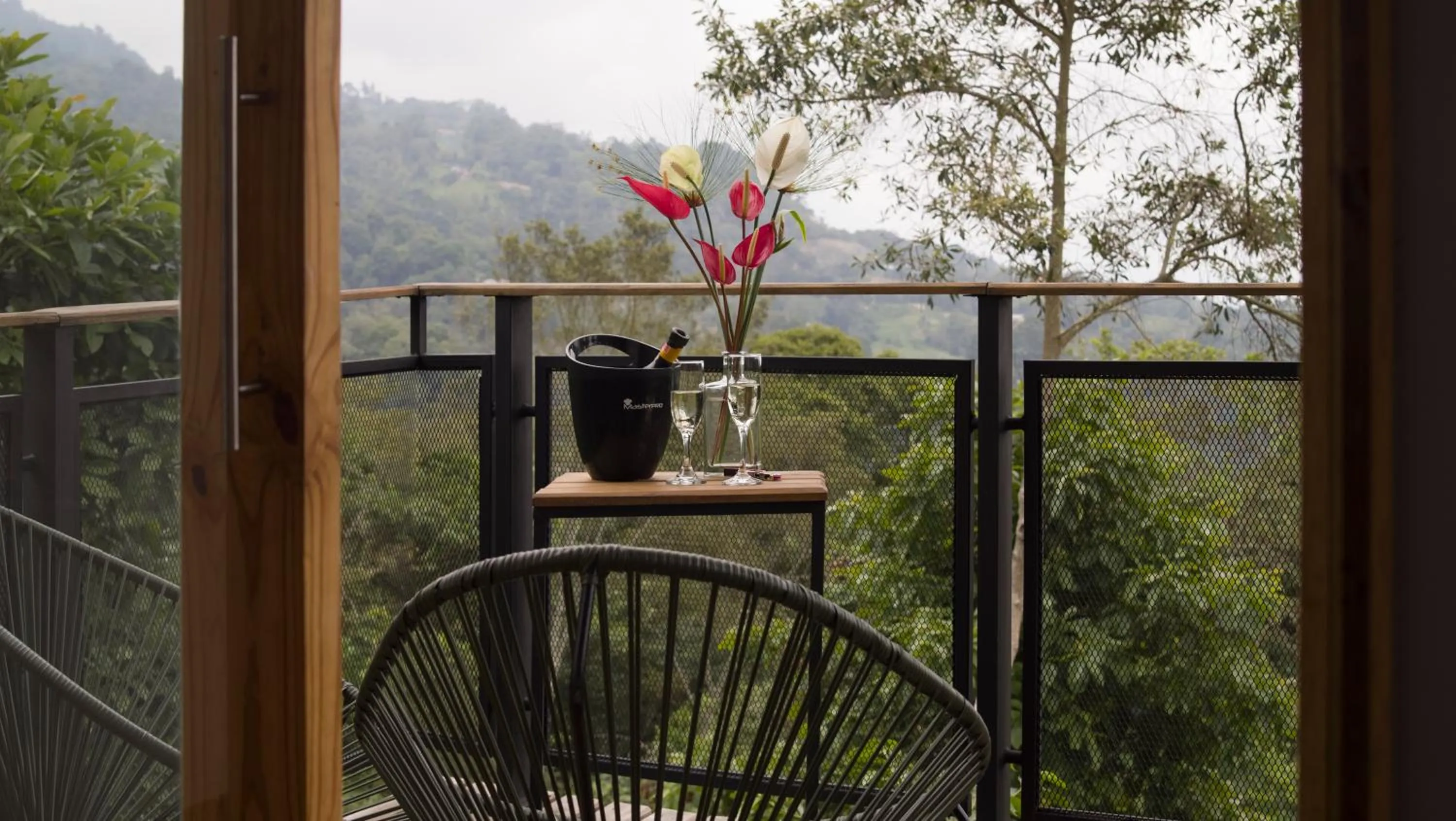 View (from property/room) in Hotel La Palma y El Tucán - Café y Naturaleza