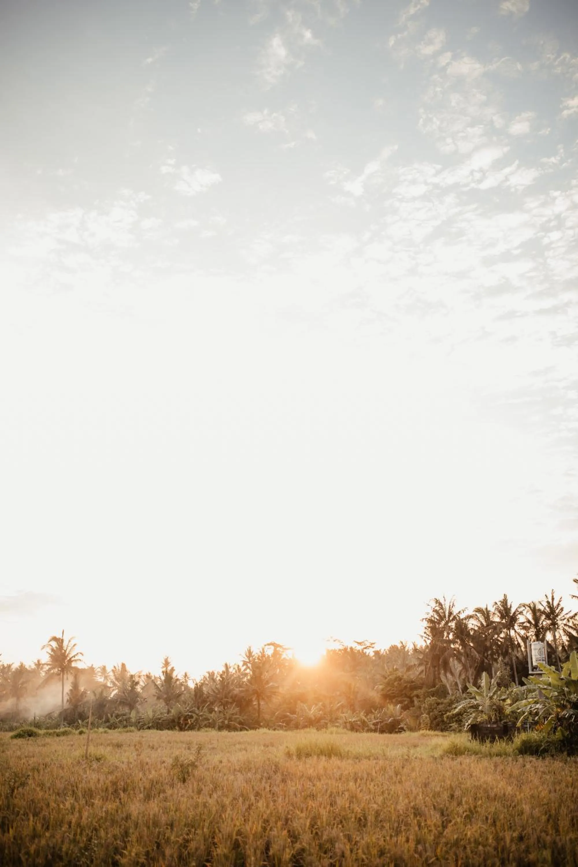 Neighbourhood in Mandala Desa