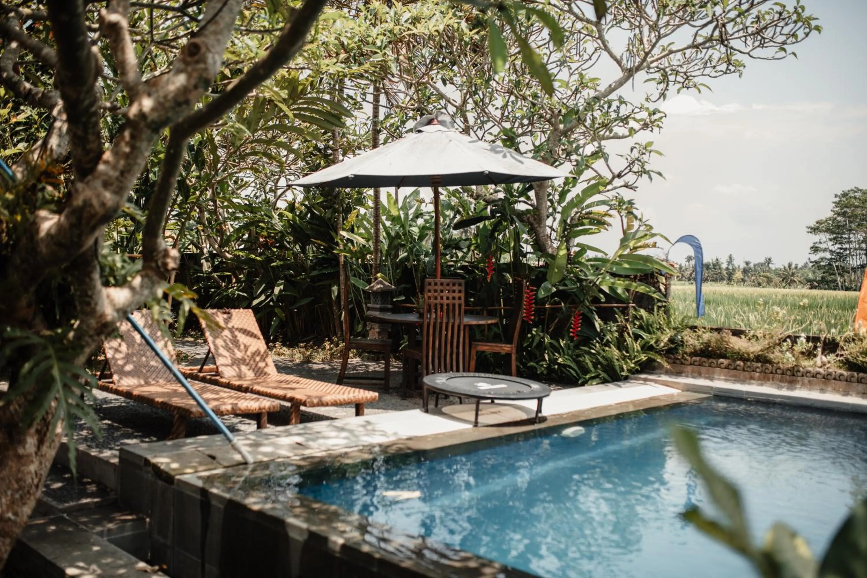 Swimming pool in Mandala Desa