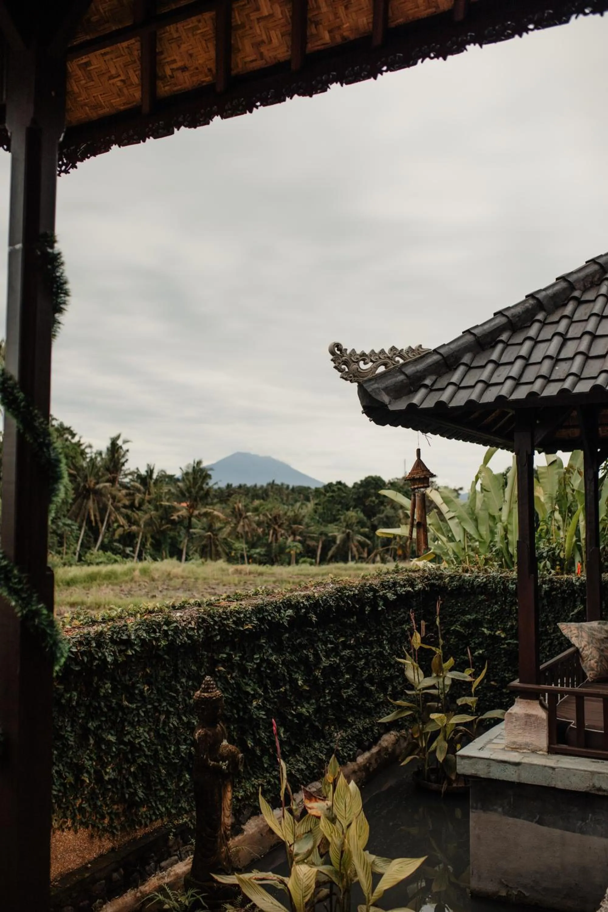 View (from property/room) in Mandala Desa