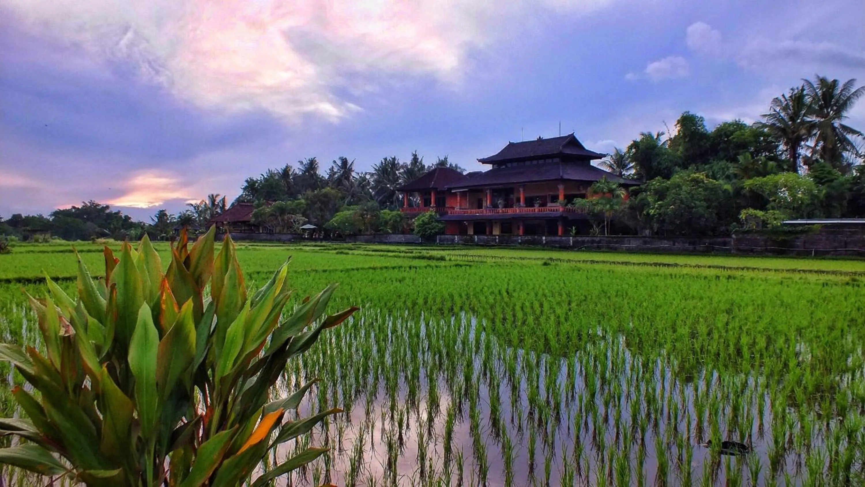 Facade/entrance in Mandala Desa