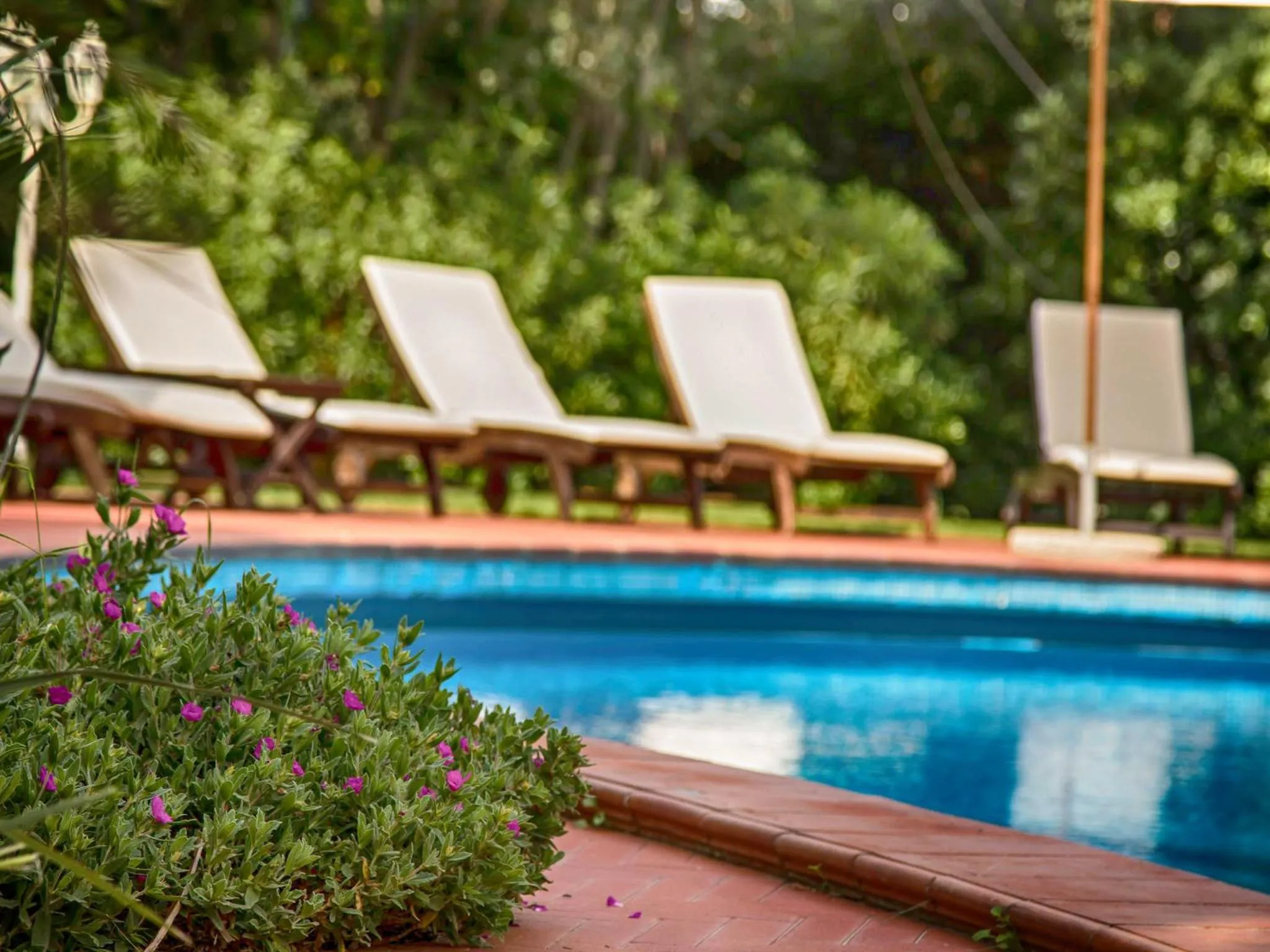 Swimming pool in Hotel Villa Maremonti