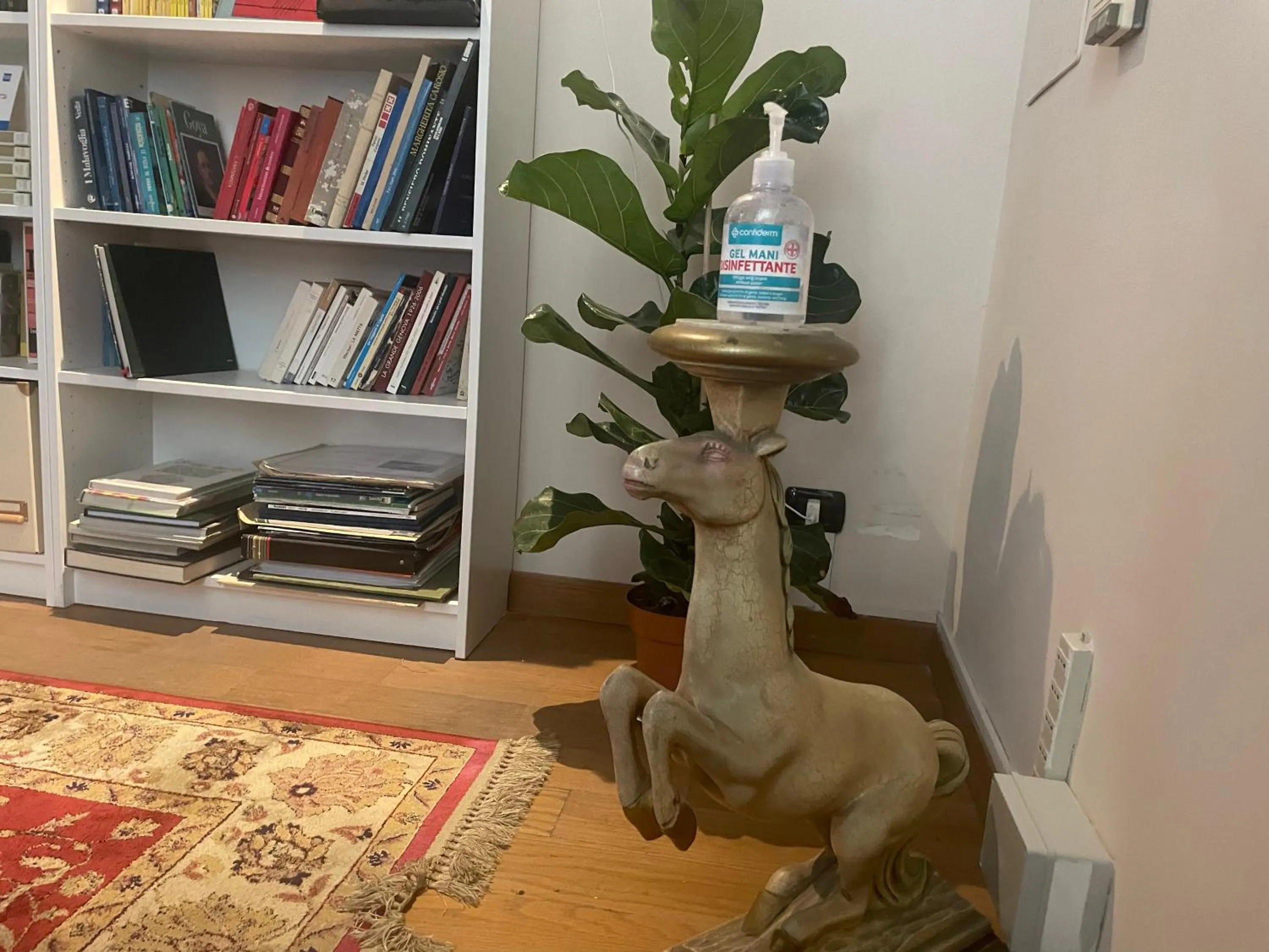 Library in Paradise Rooms - Brignole Station - Private Rooms