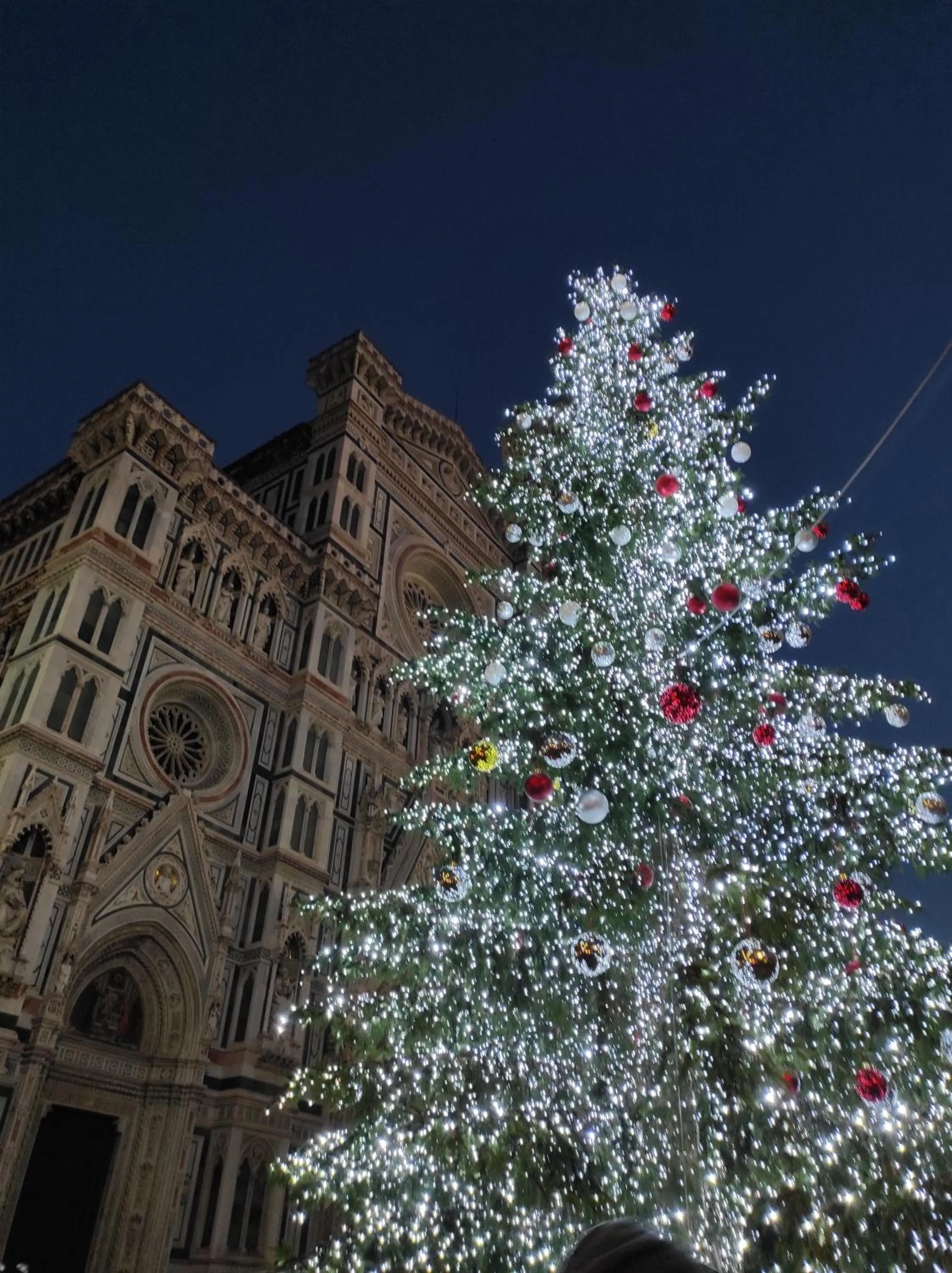 Night in The One Firenze