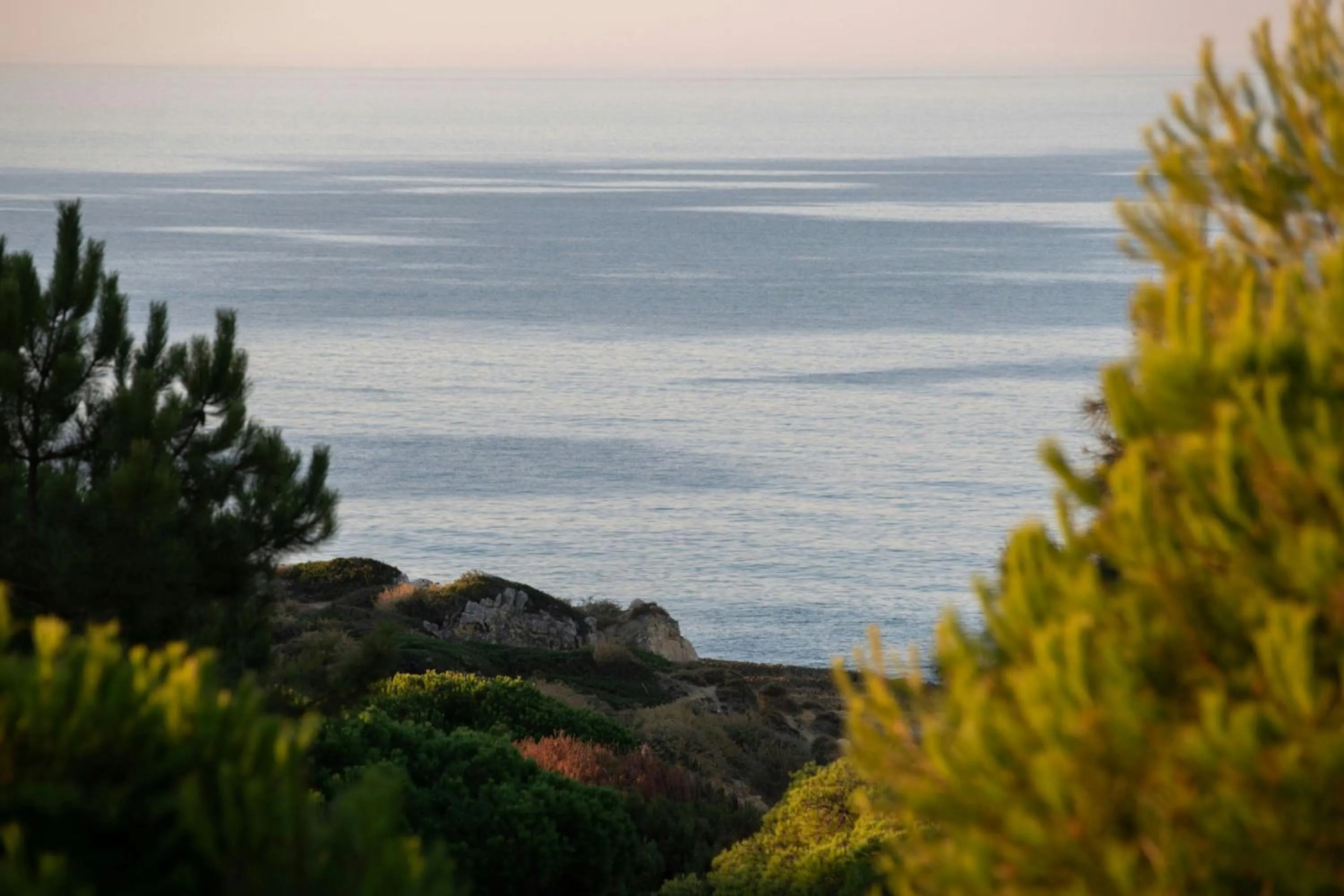 View (from property/room) in W Residences Algarve