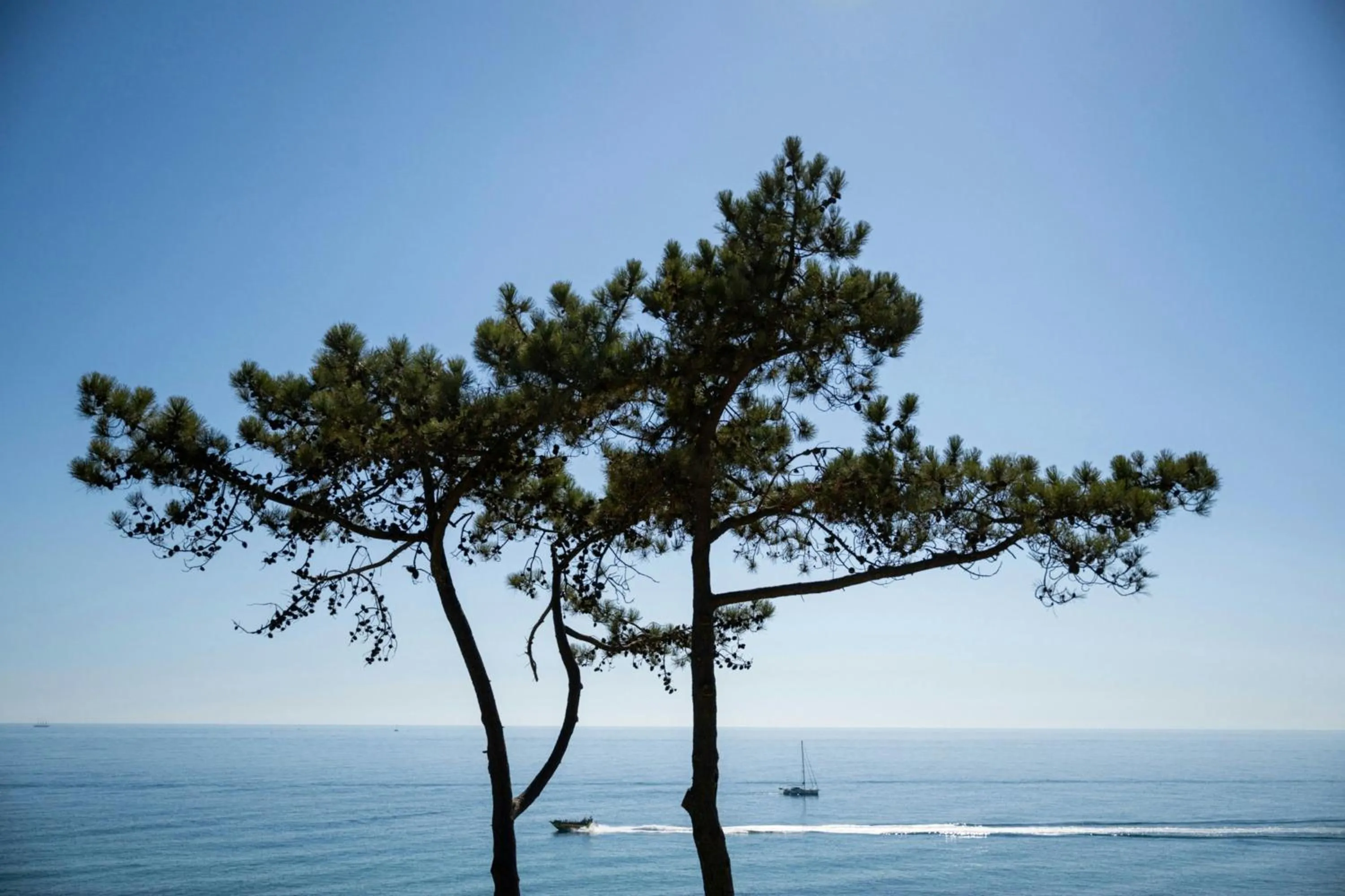 View (from property/room) in W Residences Algarve