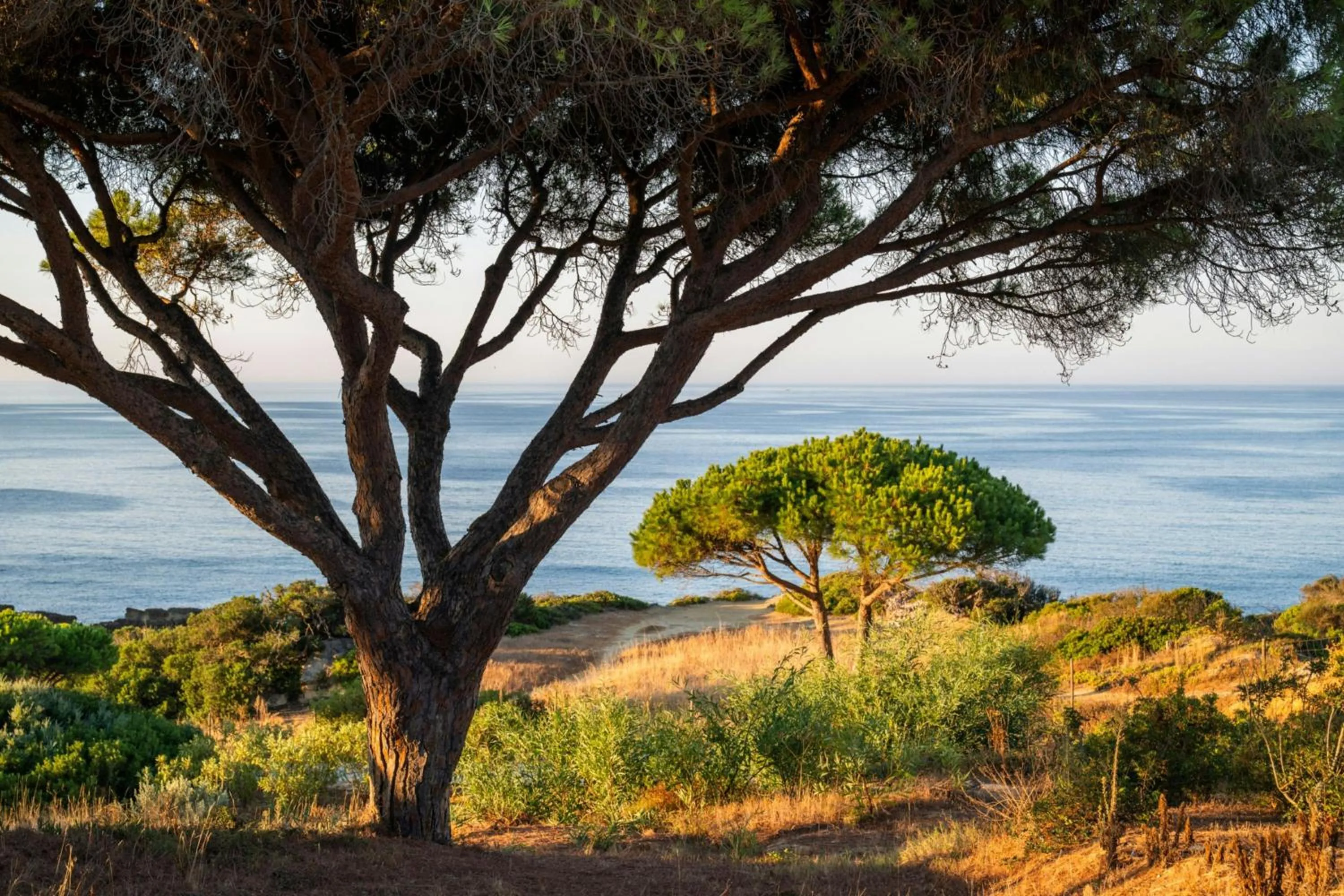 View (from property/room) in W Residences Algarve