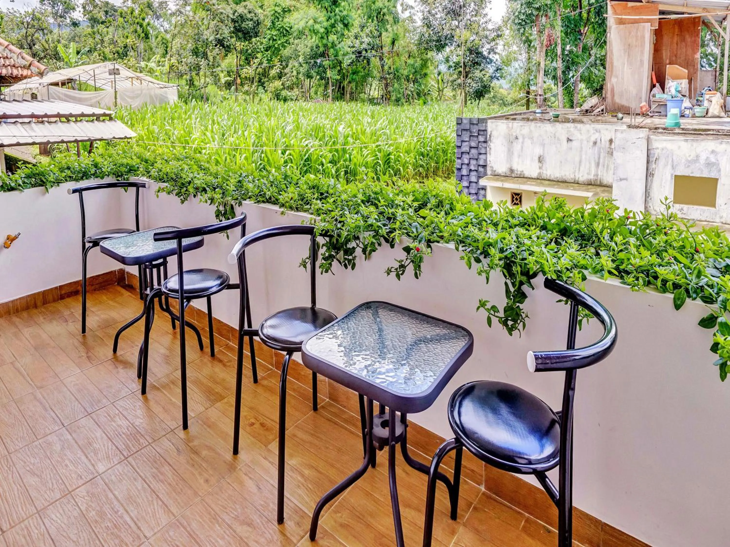 Area and facilities in Hotel O Ara Guest House