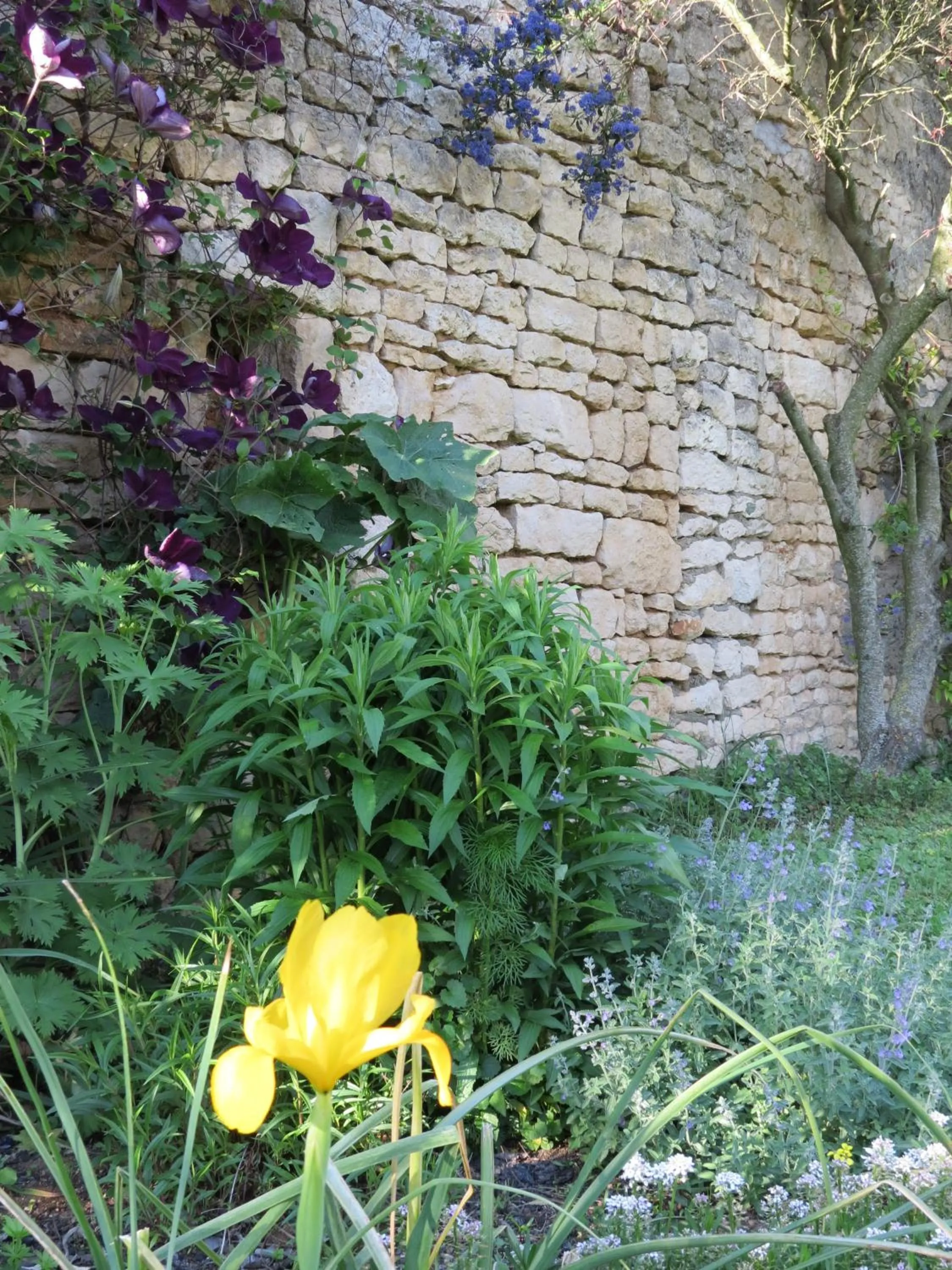 Garden in L'Aubinoise