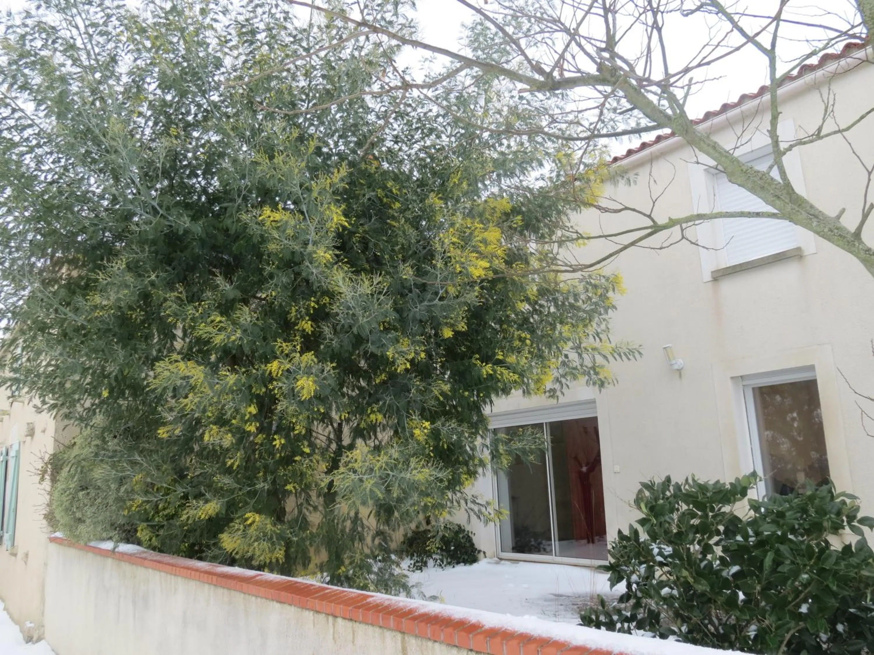 Winter in L'Aubinoise