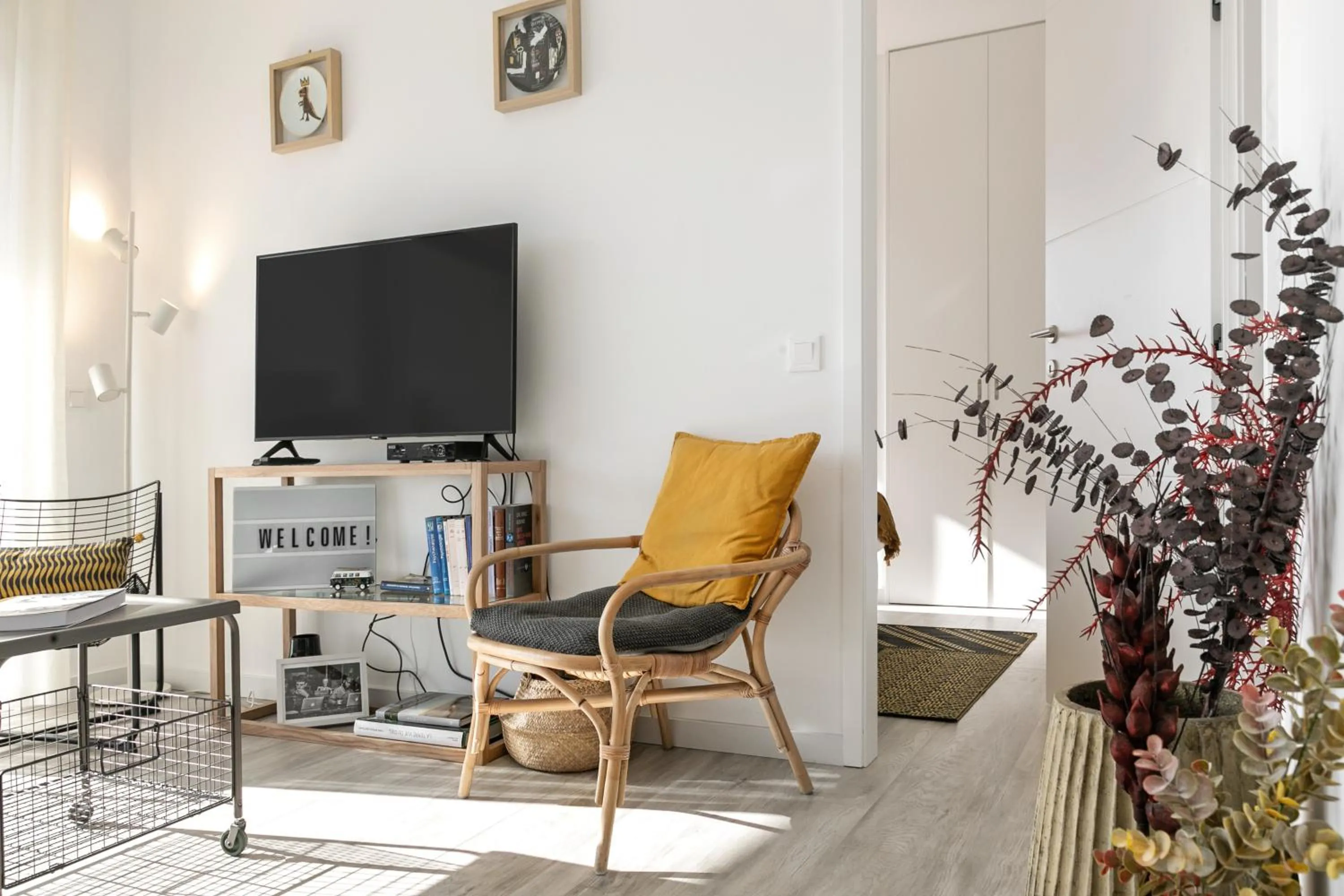 TV and multimedia in Salty Soul