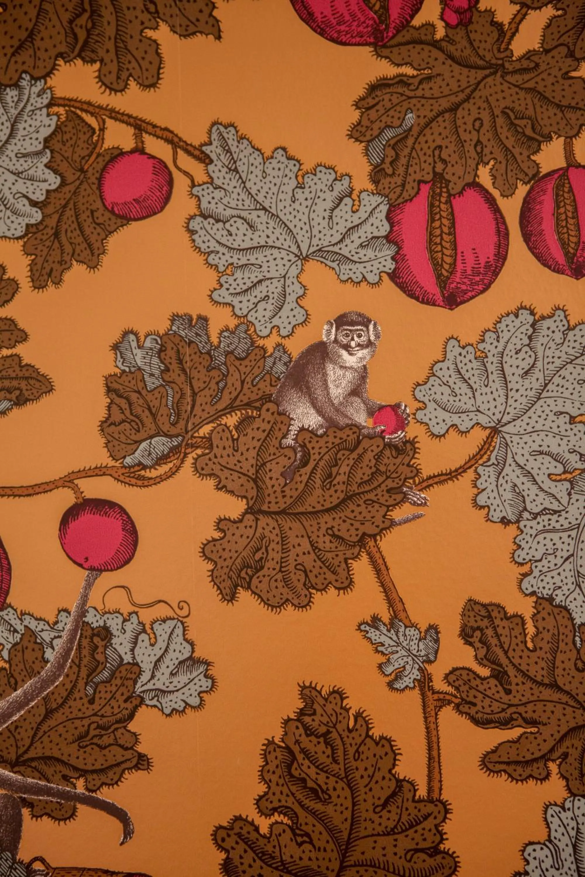 Decorative detail in Ca' della Scimmia - Rialto - Venice