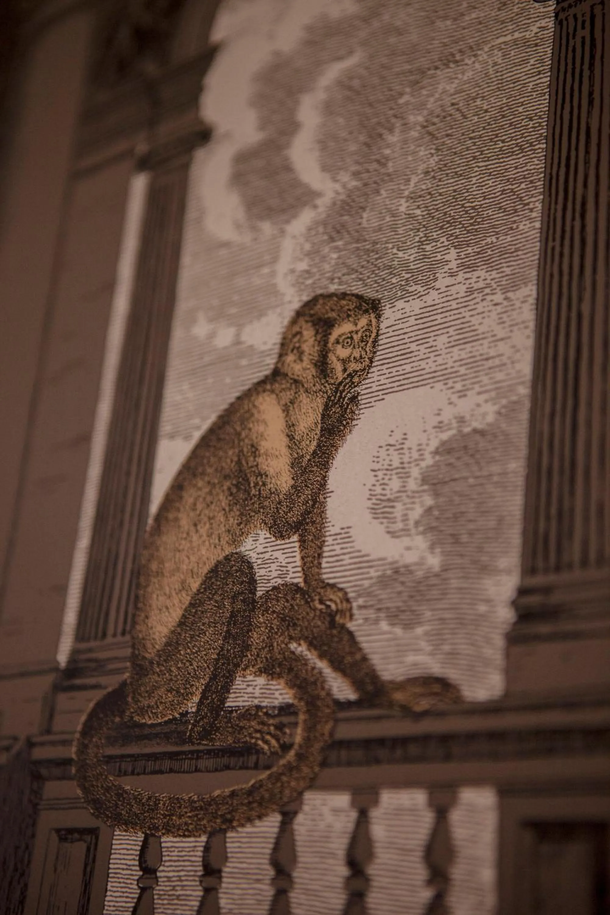 Decorative detail in Ca' della Scimmia - Rialto - Venice