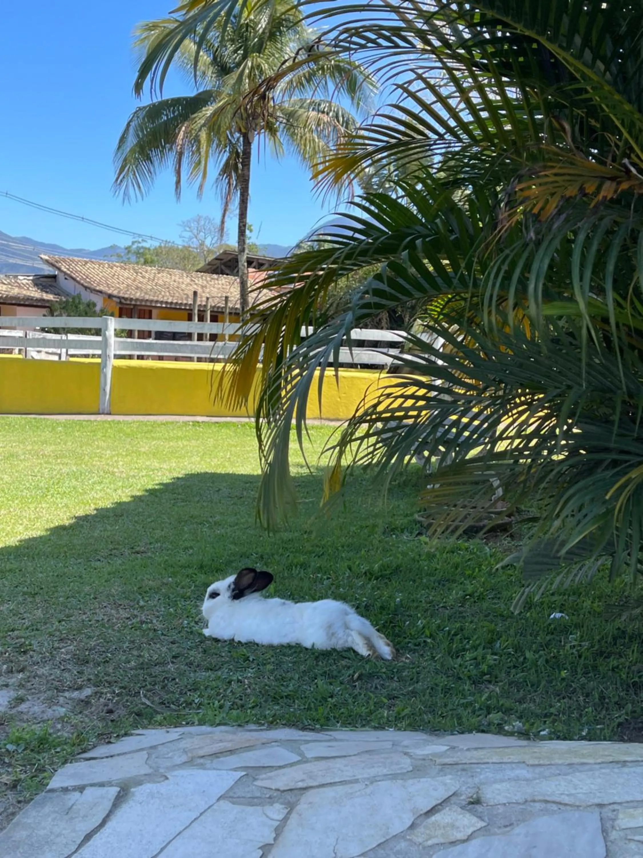 Day in Pousada da Chica