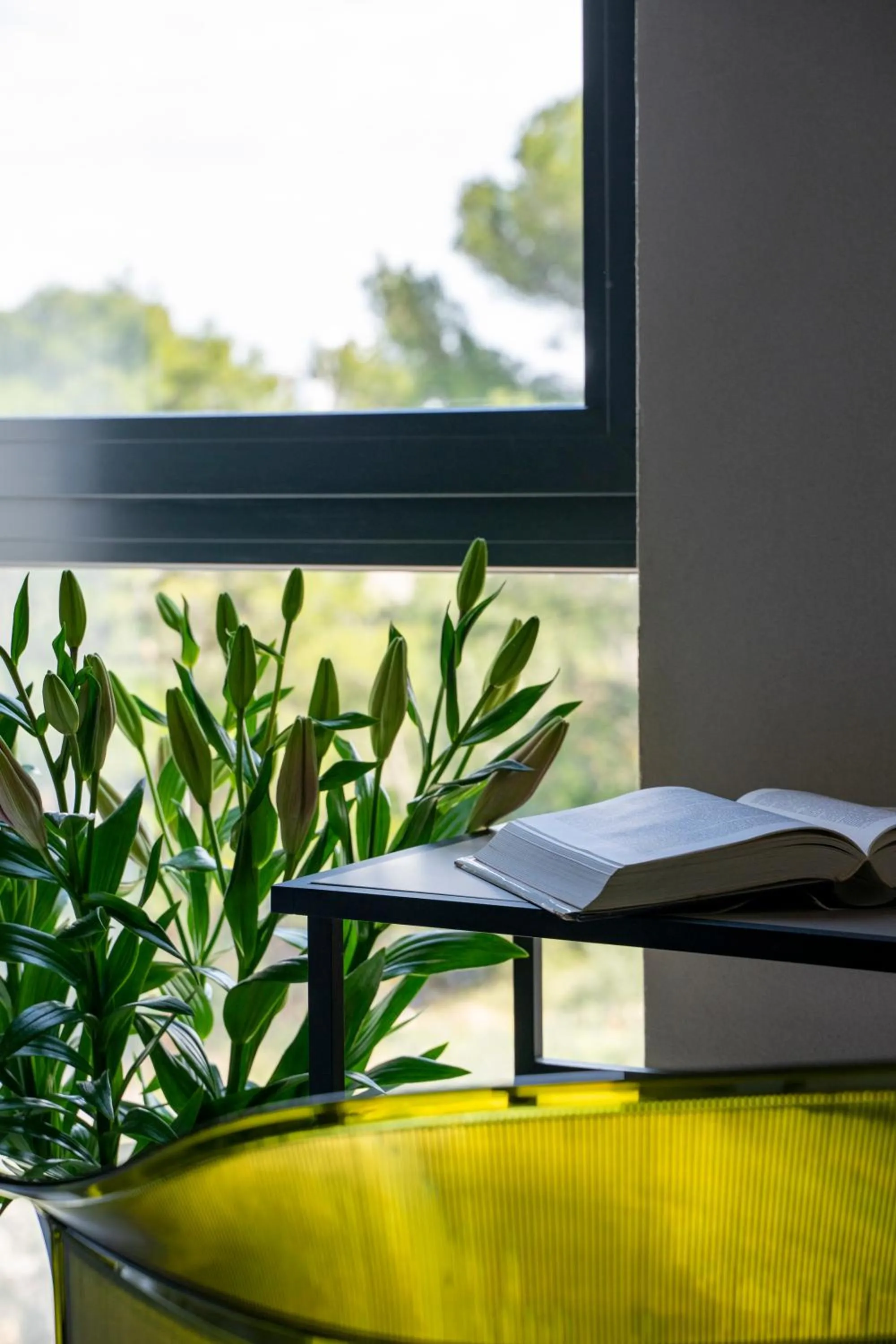 View (from property/room) in Moro Inn