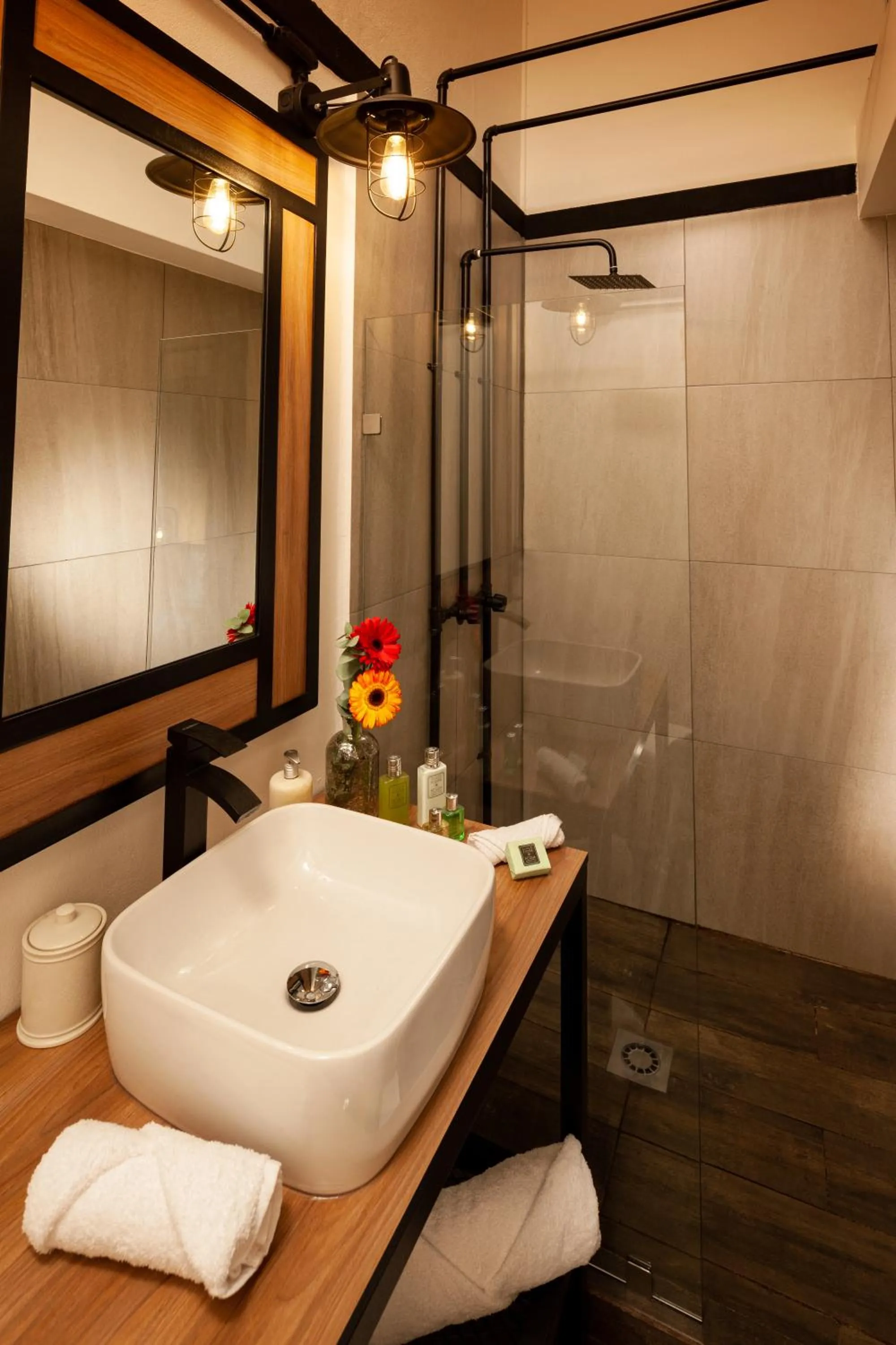 Double Room in Hotel Brök San Juan del Río