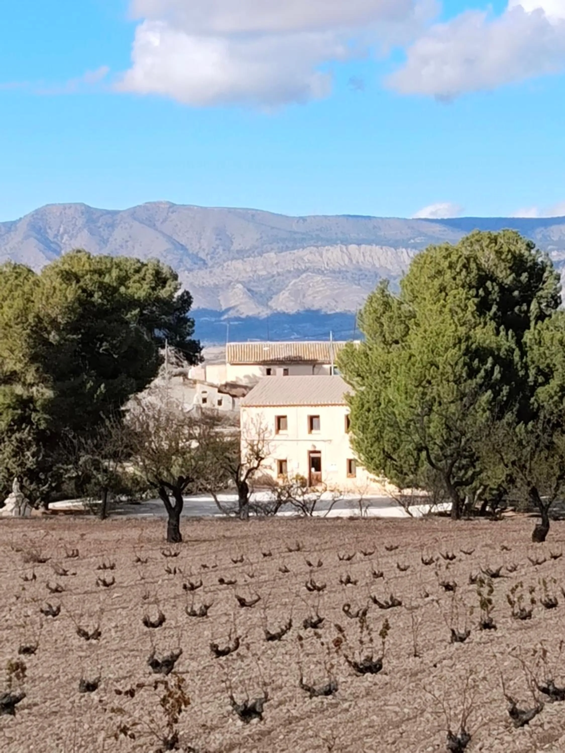 Area and facilities in Finca Guillermo Murcia