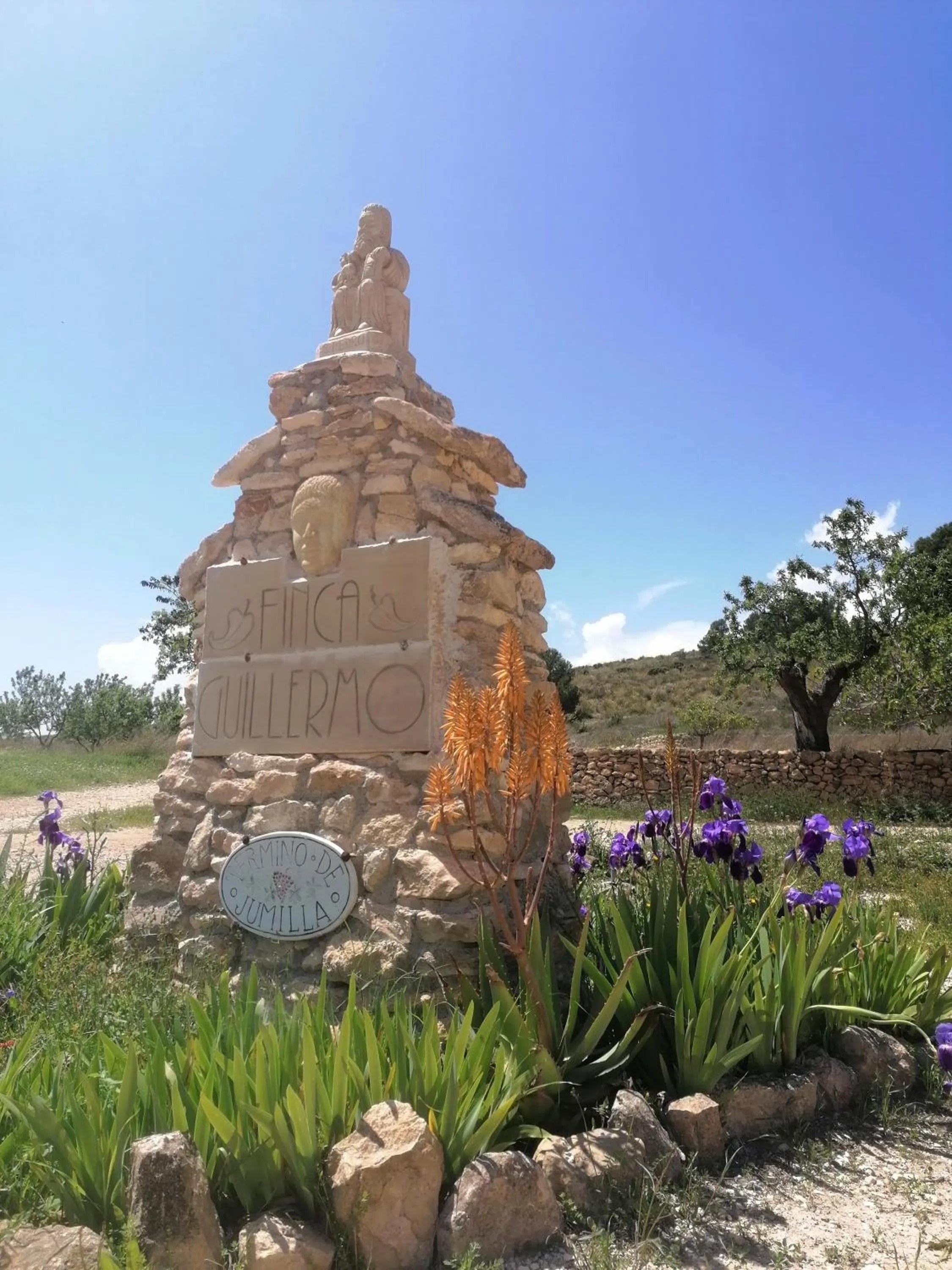 Spring in Finca Guillermo Murcia