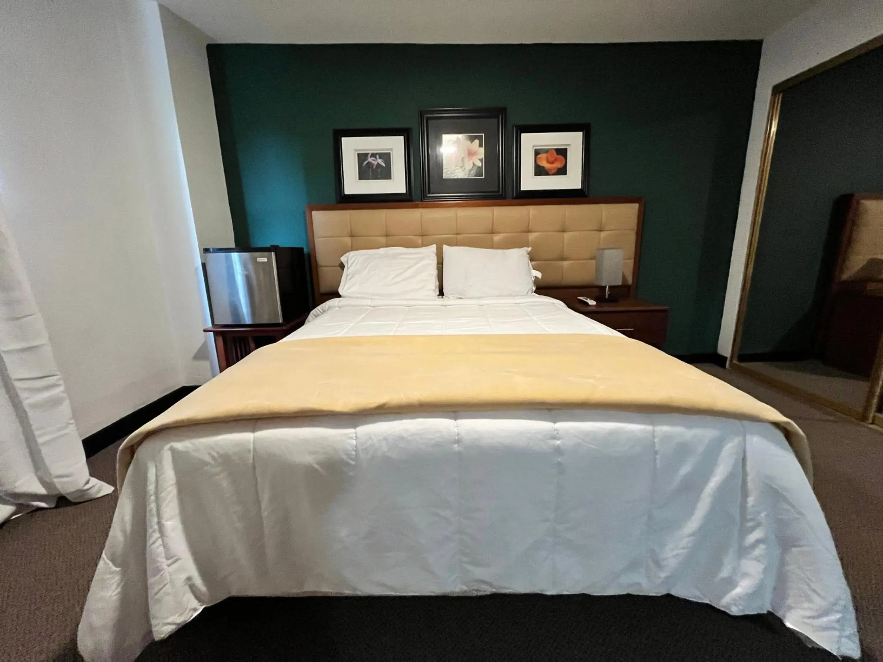 Double Room in SJ SUITES HOTEL Double Room in SJ SUITES HOTEL