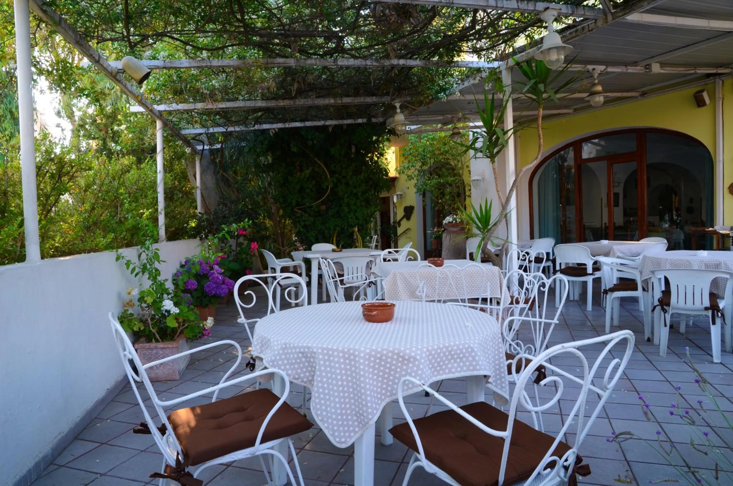 Garden in Hotel Europa