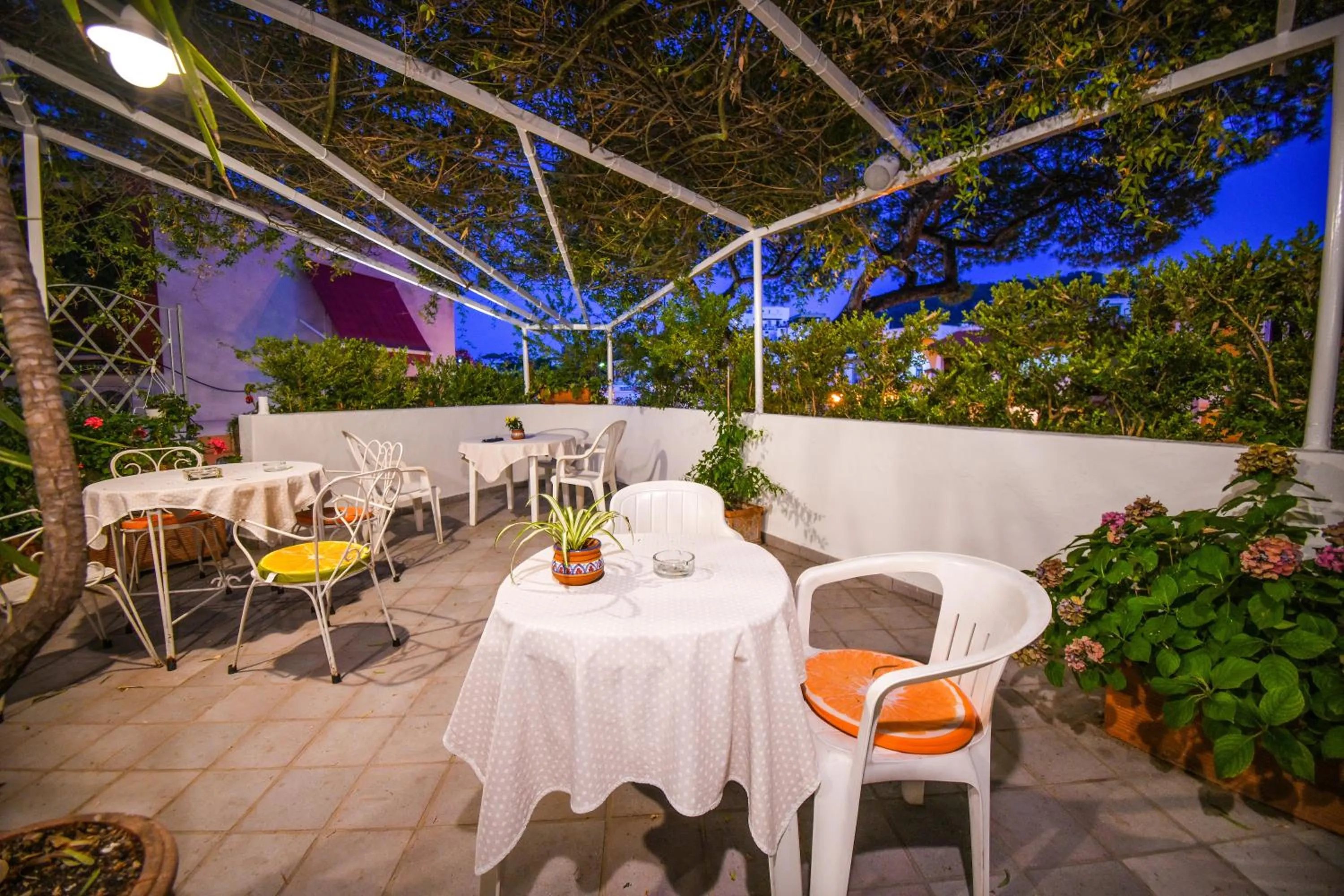 Garden in Hotel Europa