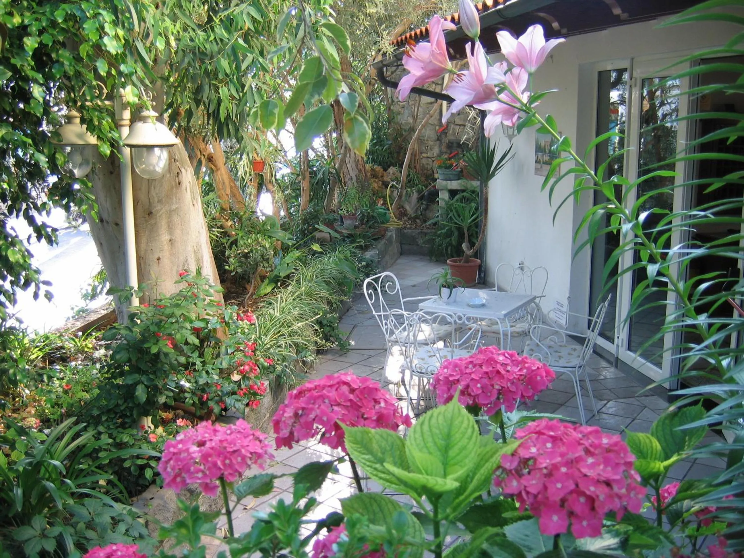 Facade/entrance in Hotel Europa