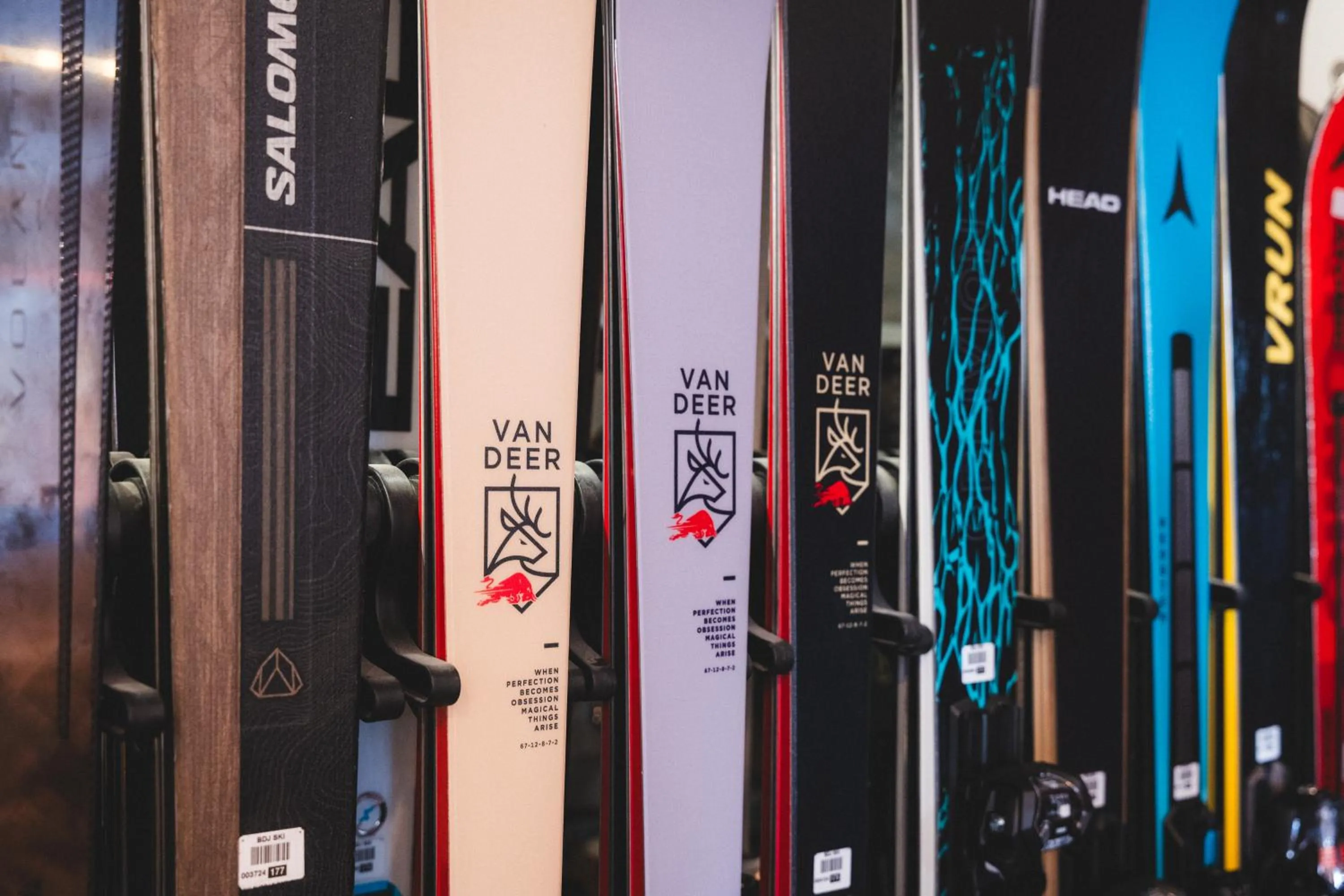 Skiing in Hotel Carlina